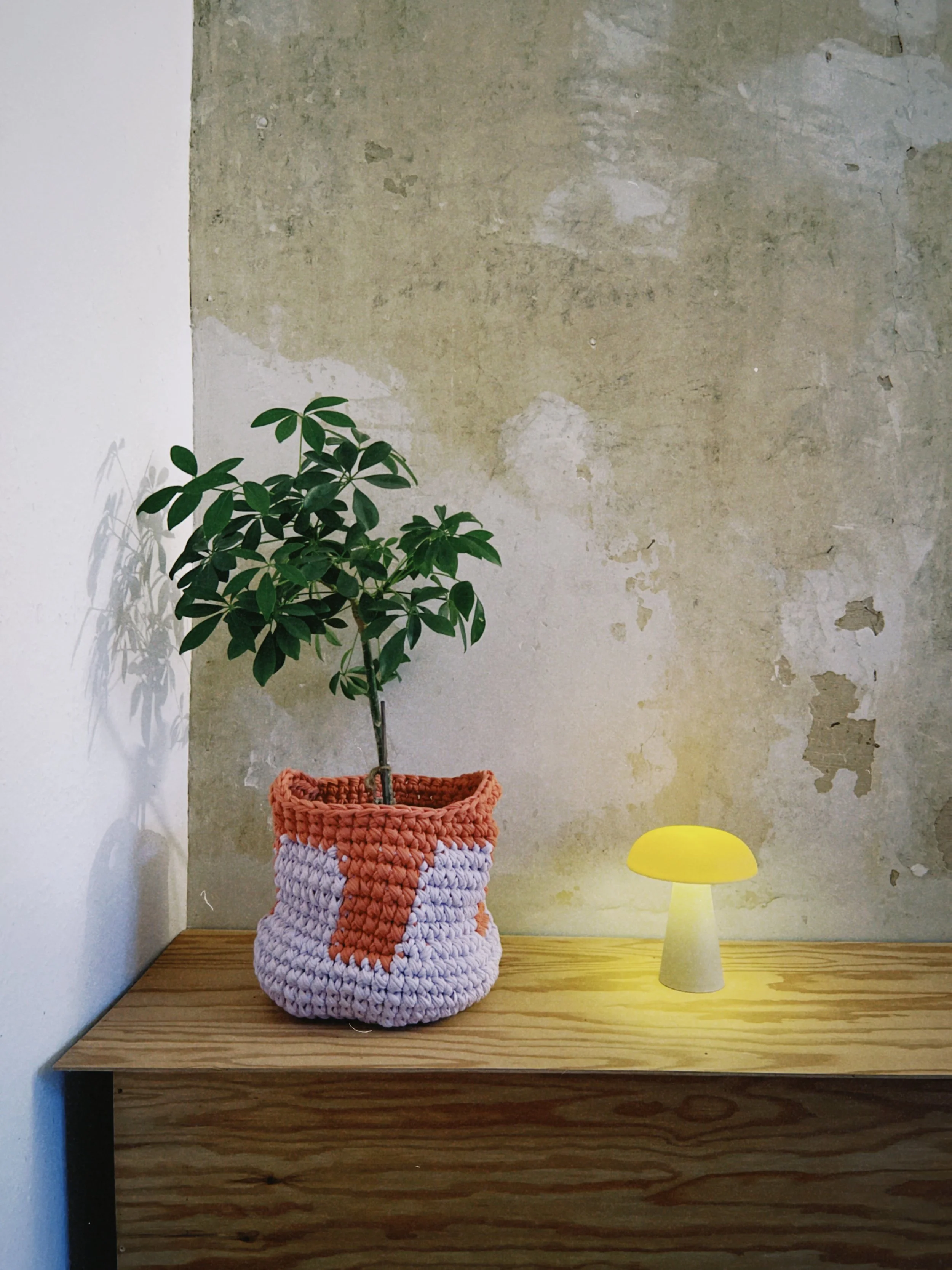 dclassic 2026-01-27 160355370681D31422.jpeg