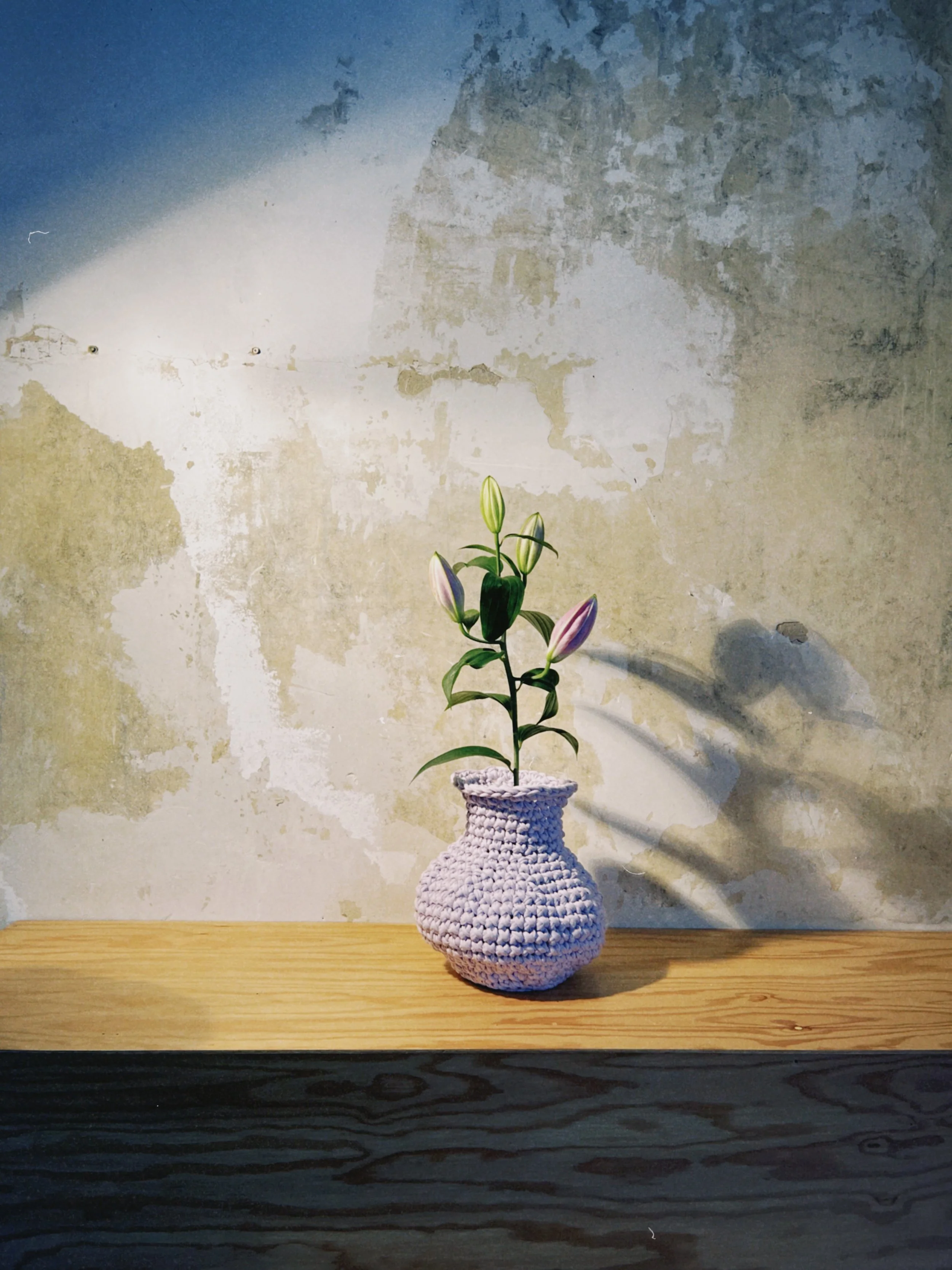 VASE yara 🌷 medium