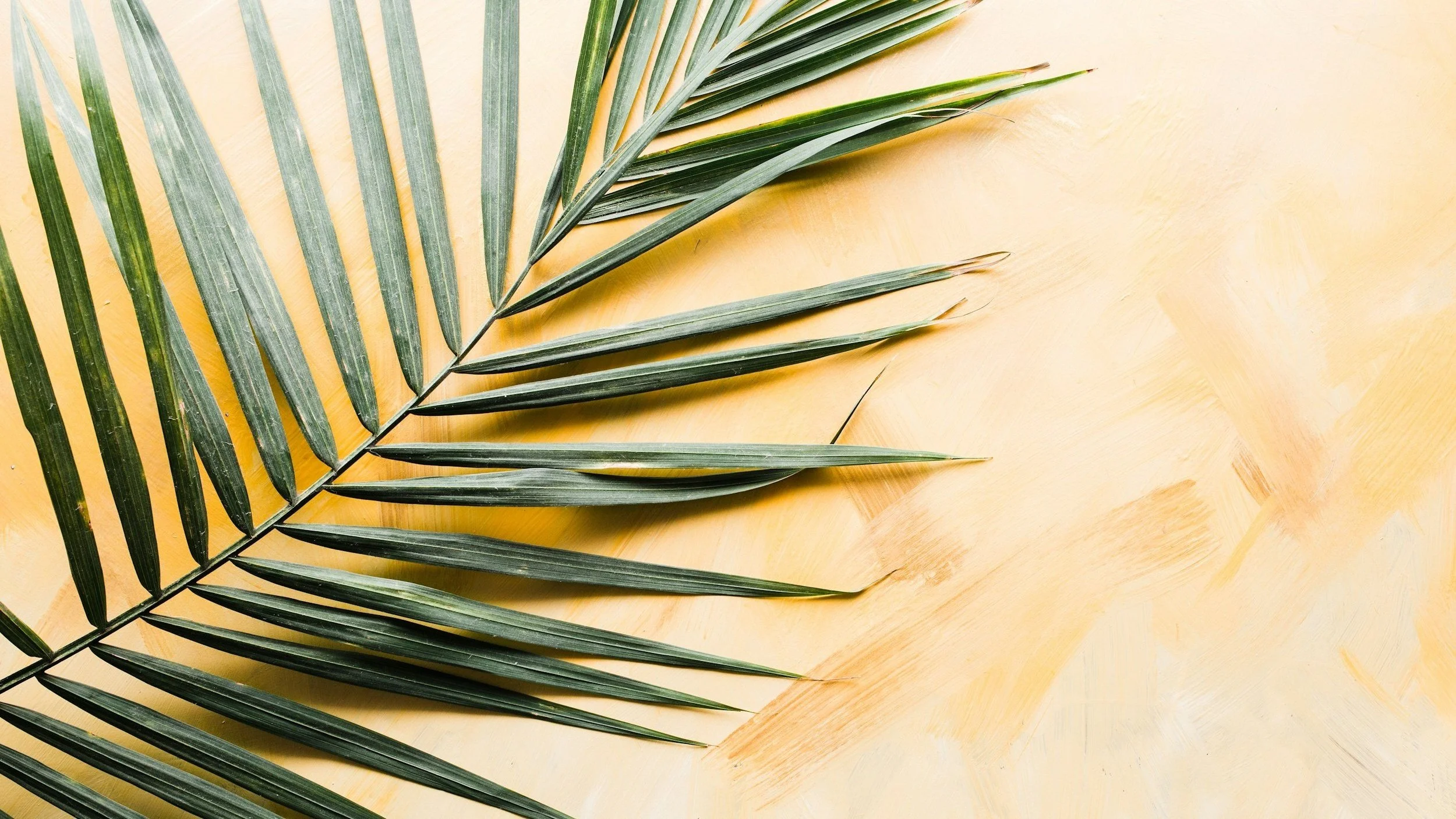 Parish Eucharist (Palm Sunday)