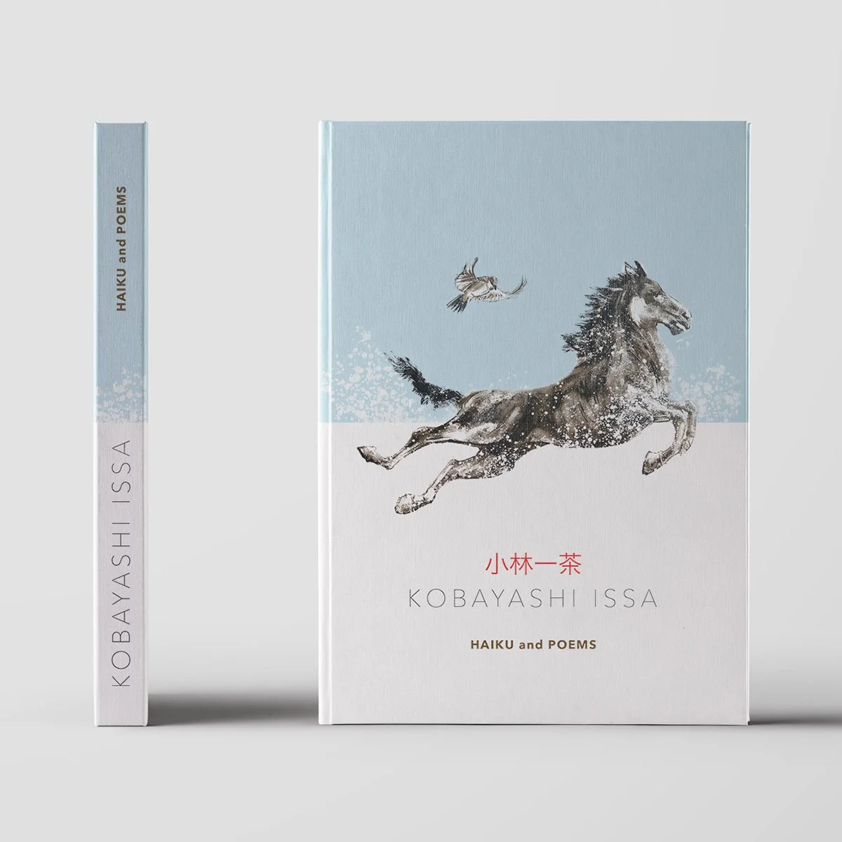 STUDIOCUDICIO _bookcovers12.jpg