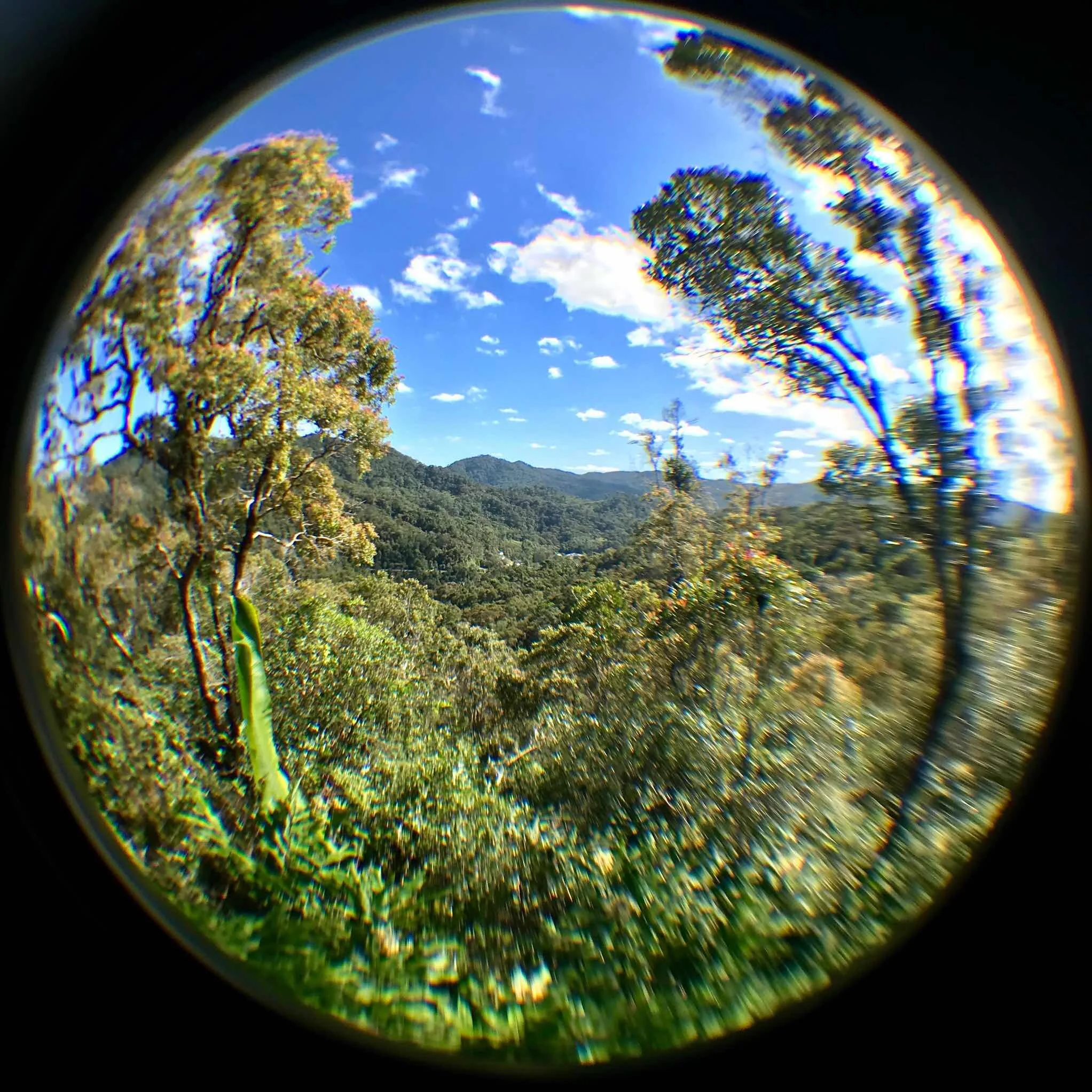 A culpa é da lua cheia!