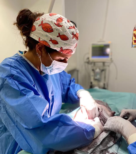 Dra. Ana Cláudia.png