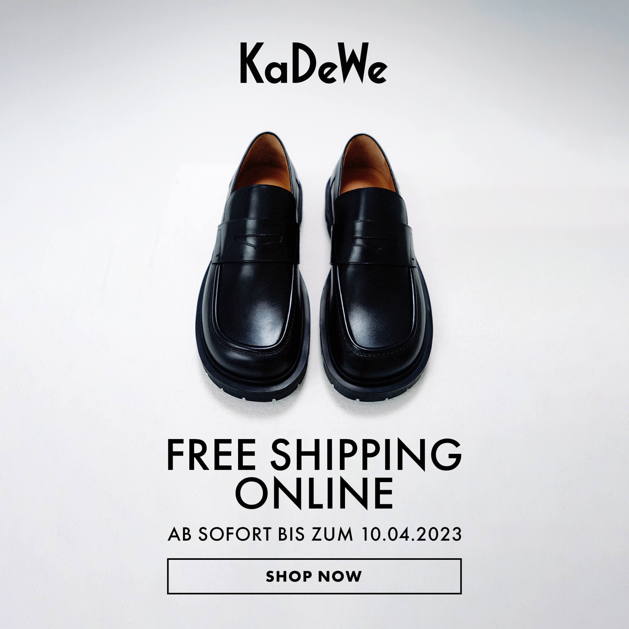 Free Shipping Promotion