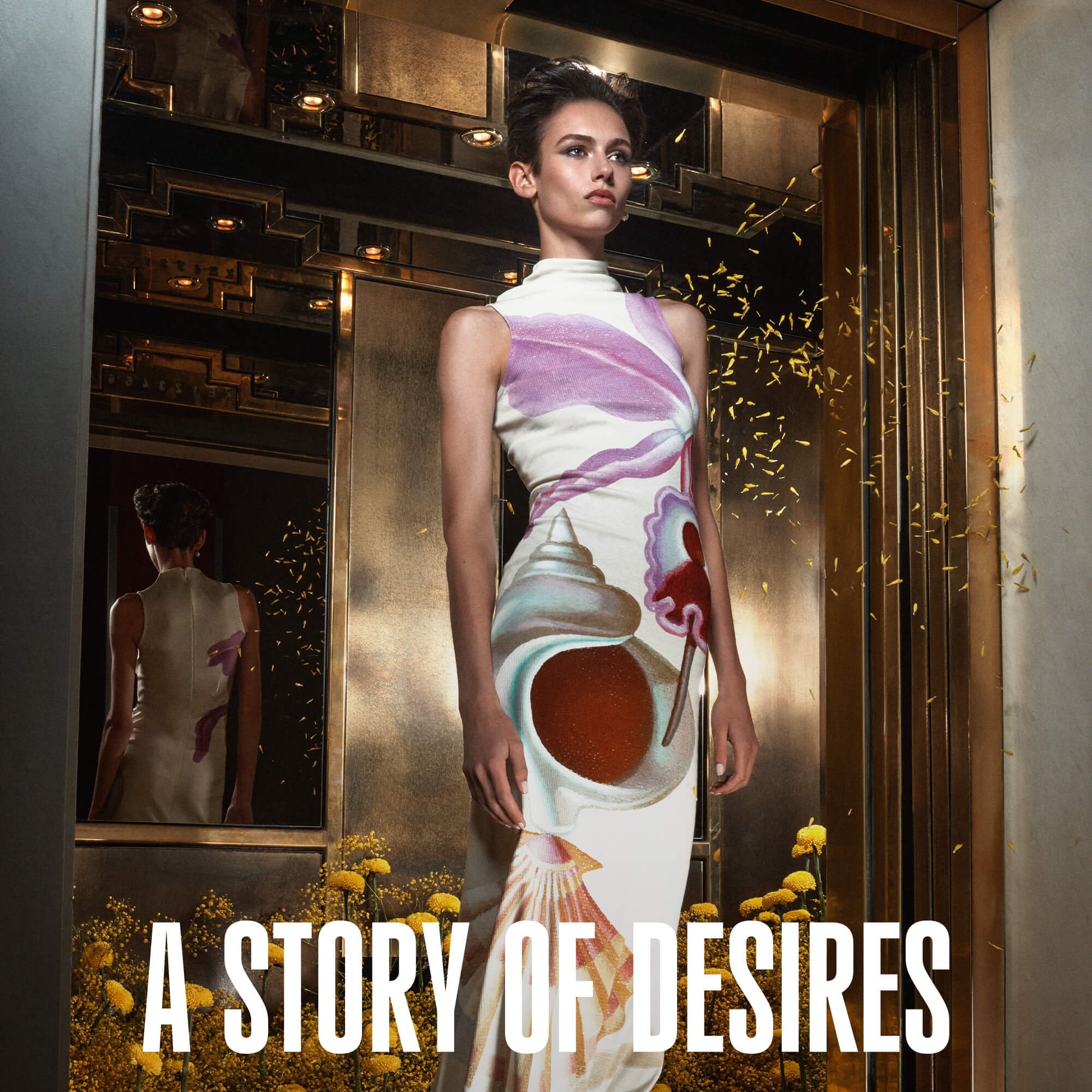 A Story Of Desires Campaign