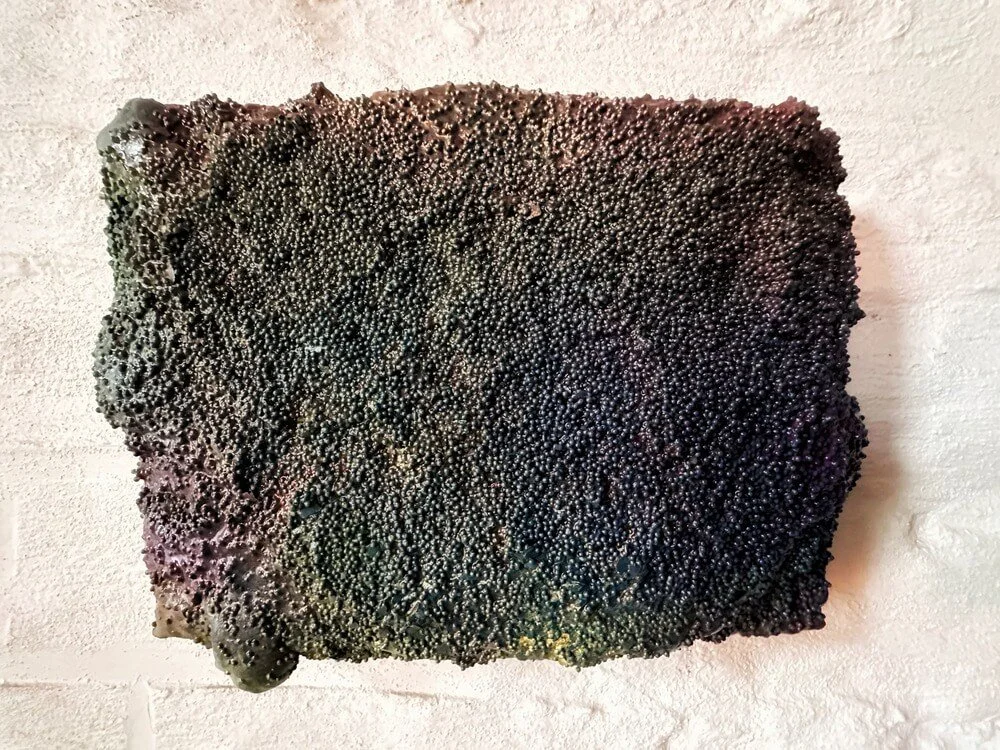 purpleshuk