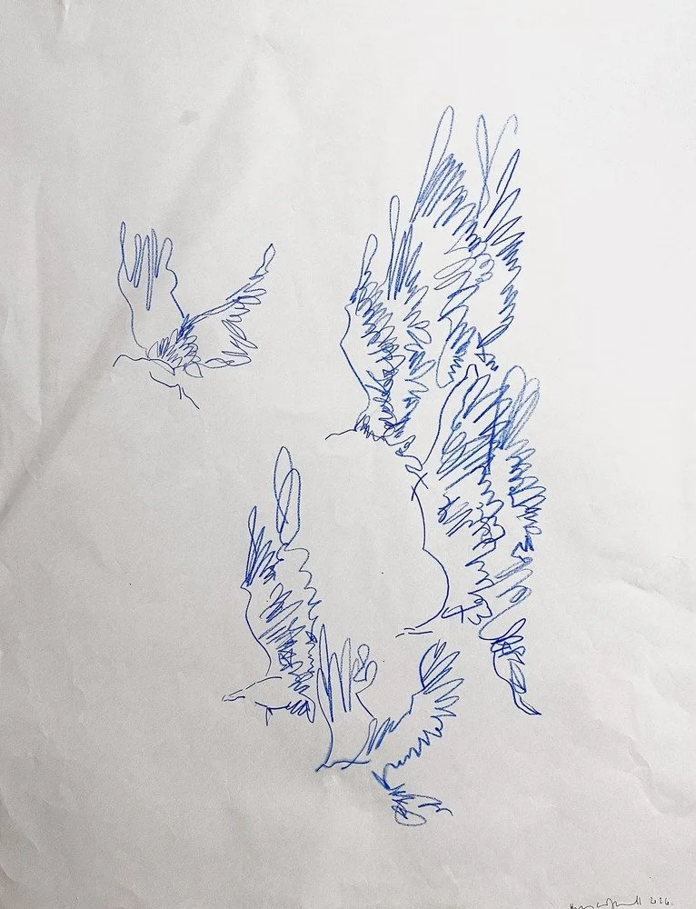 44. birds