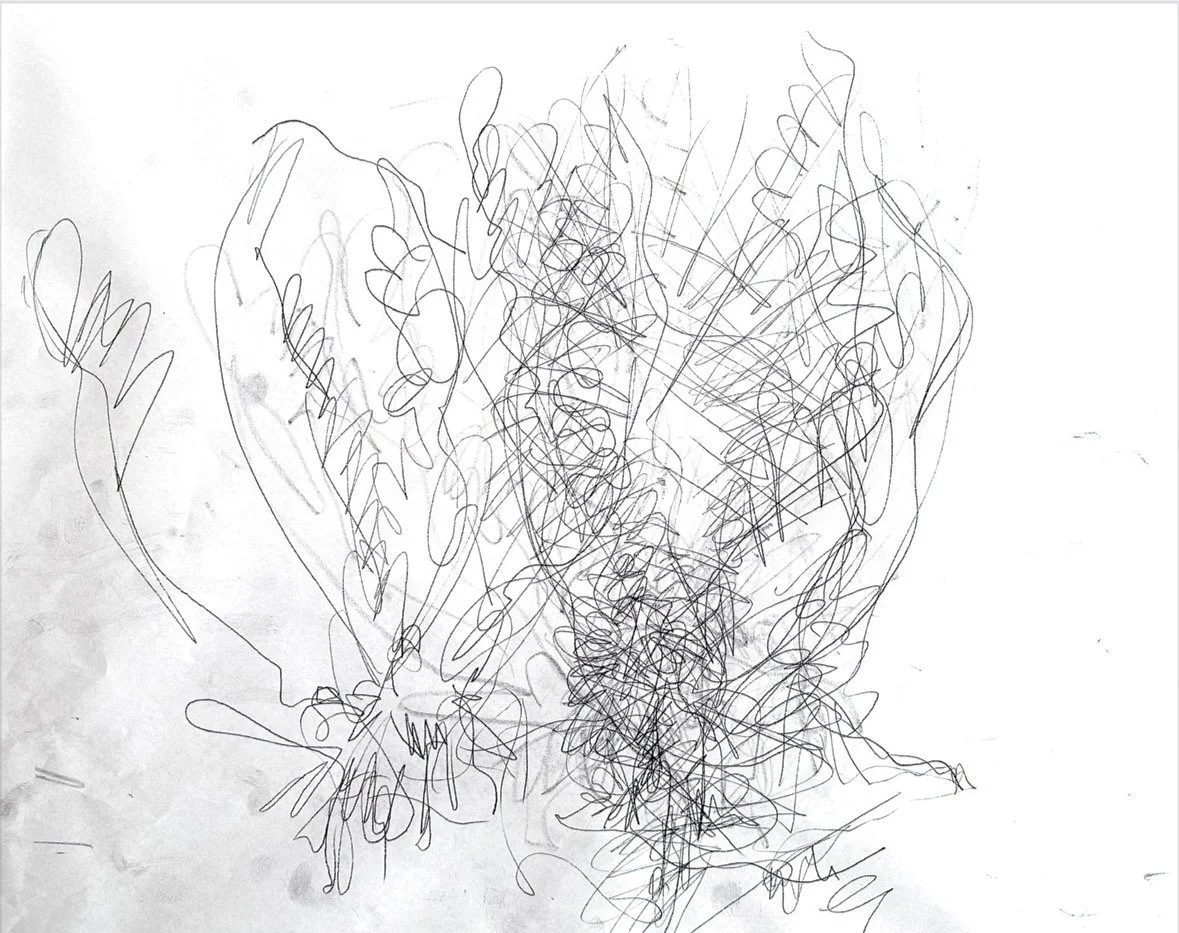 carbon-transfer-drawing6.jpg