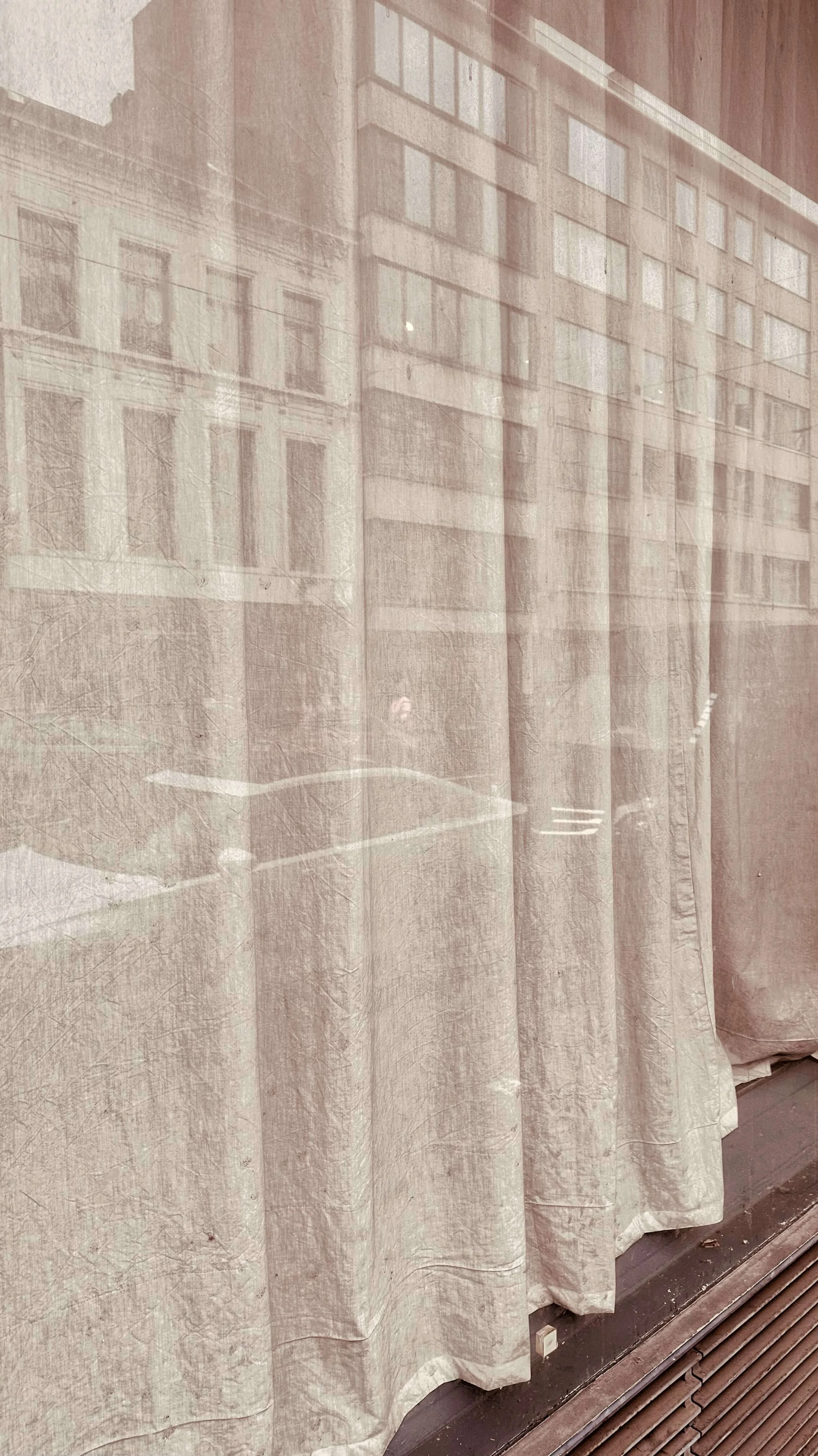 Henry Whysall, photographic study of a shop window, 2025
