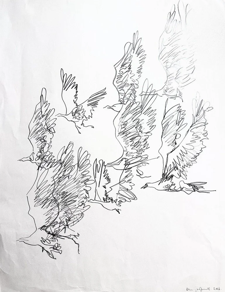 48-birds.jpg