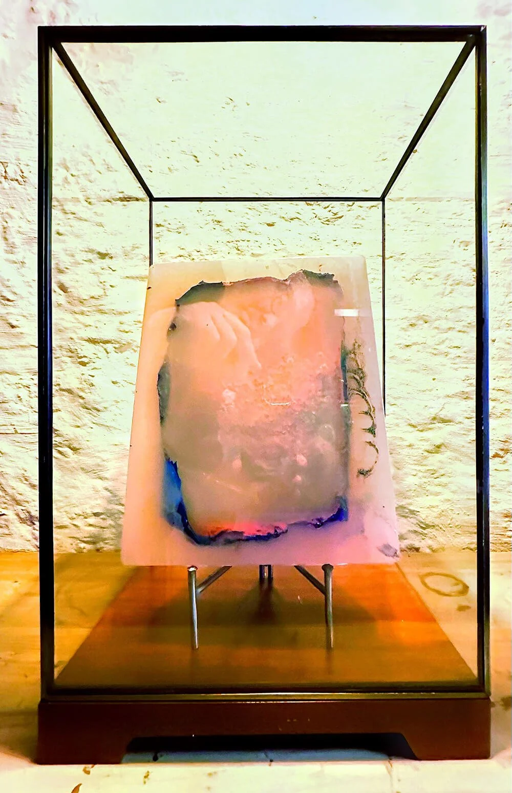 pharos in glass vitrine