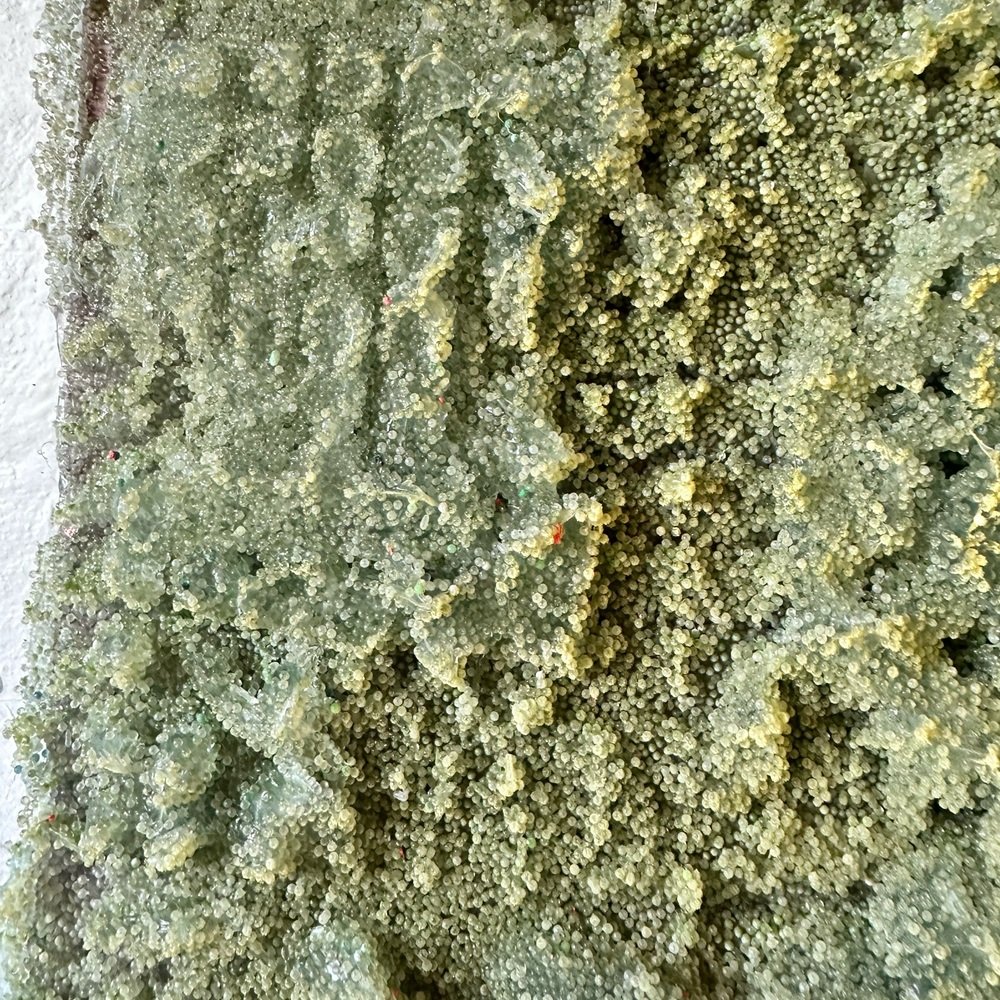 ridge-2.jpg