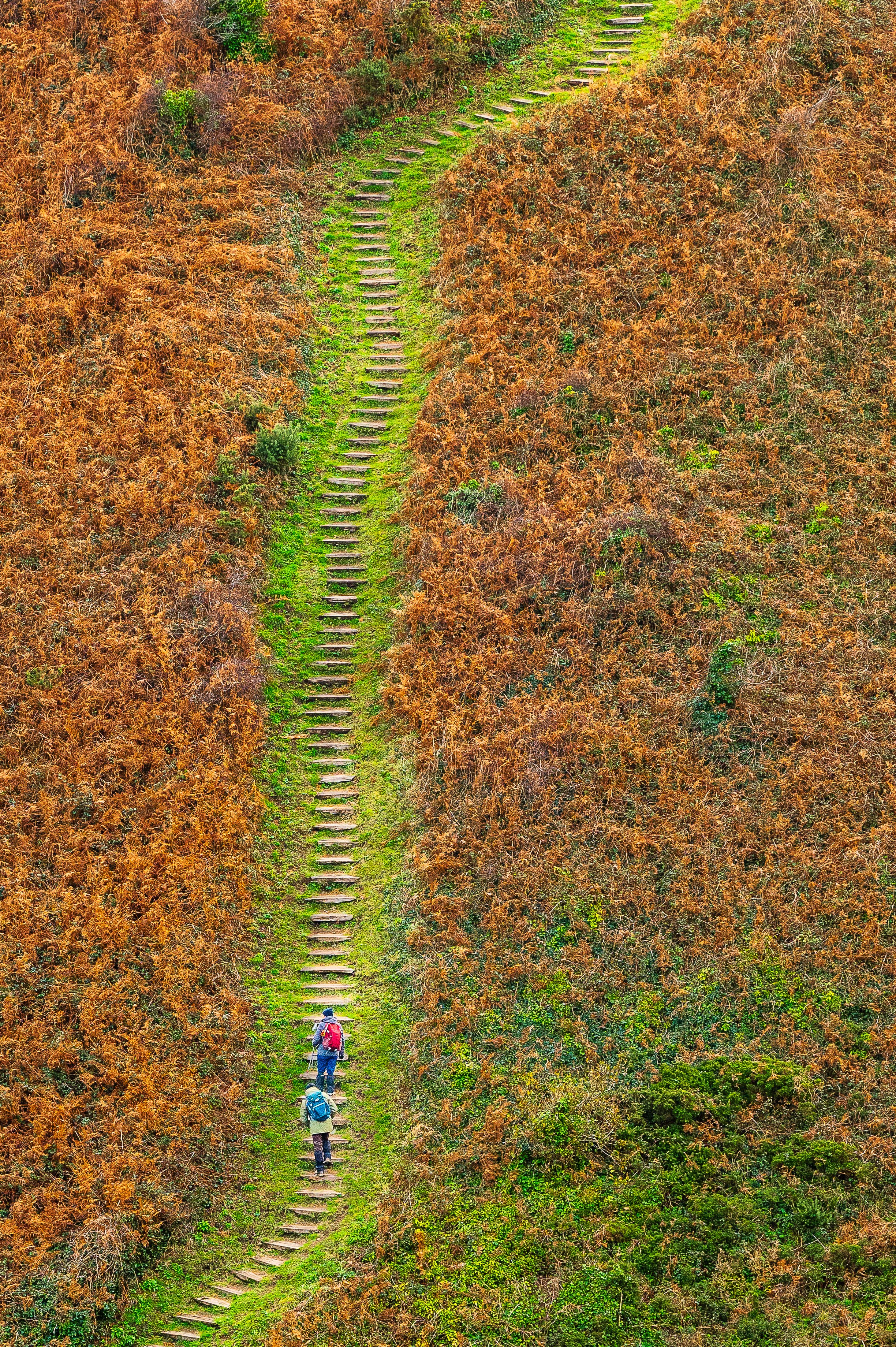 Le Gr 34 à Plouézec, dans les Côtes d'Armor.