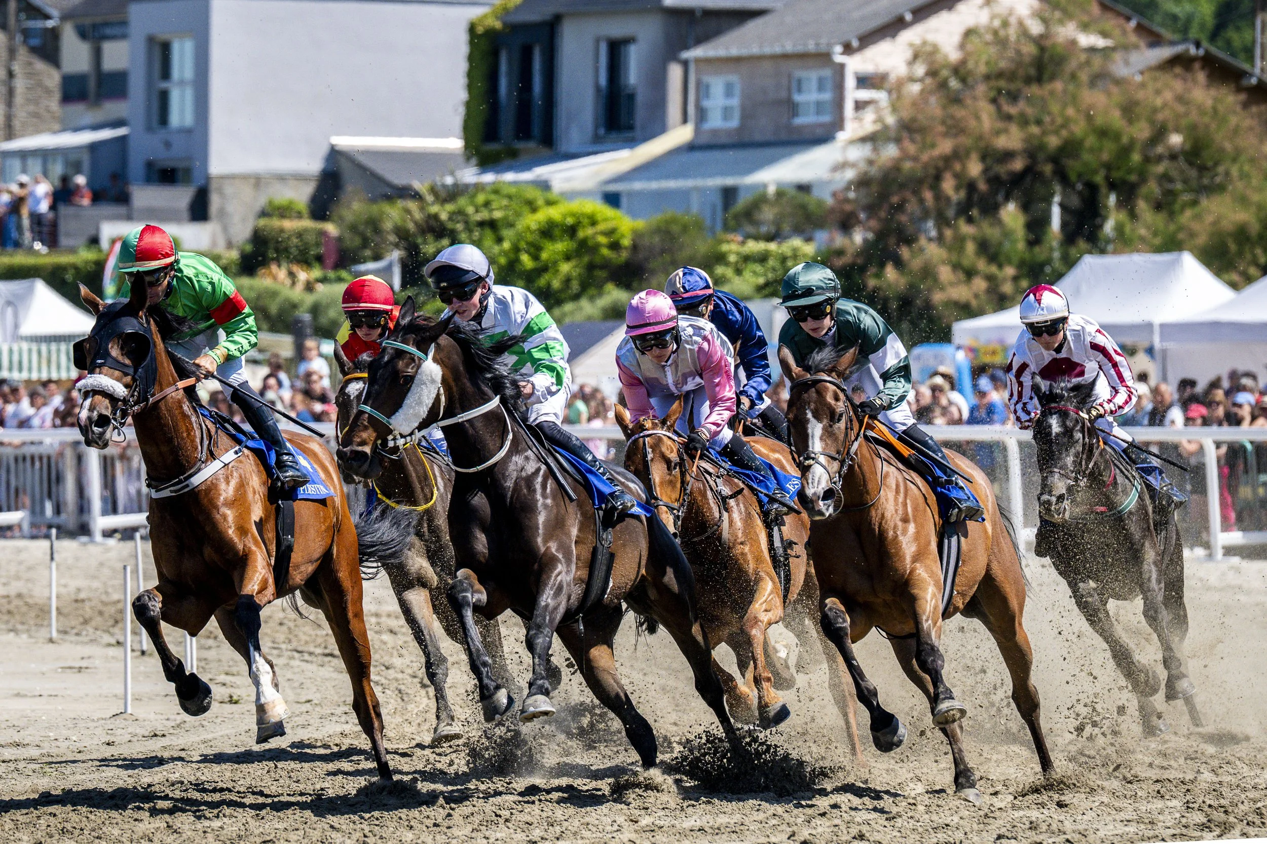 Courses hippiques Saint-Efflam. Hippodrome marin Plestin-les-Grèves. Côtes d'Armor.