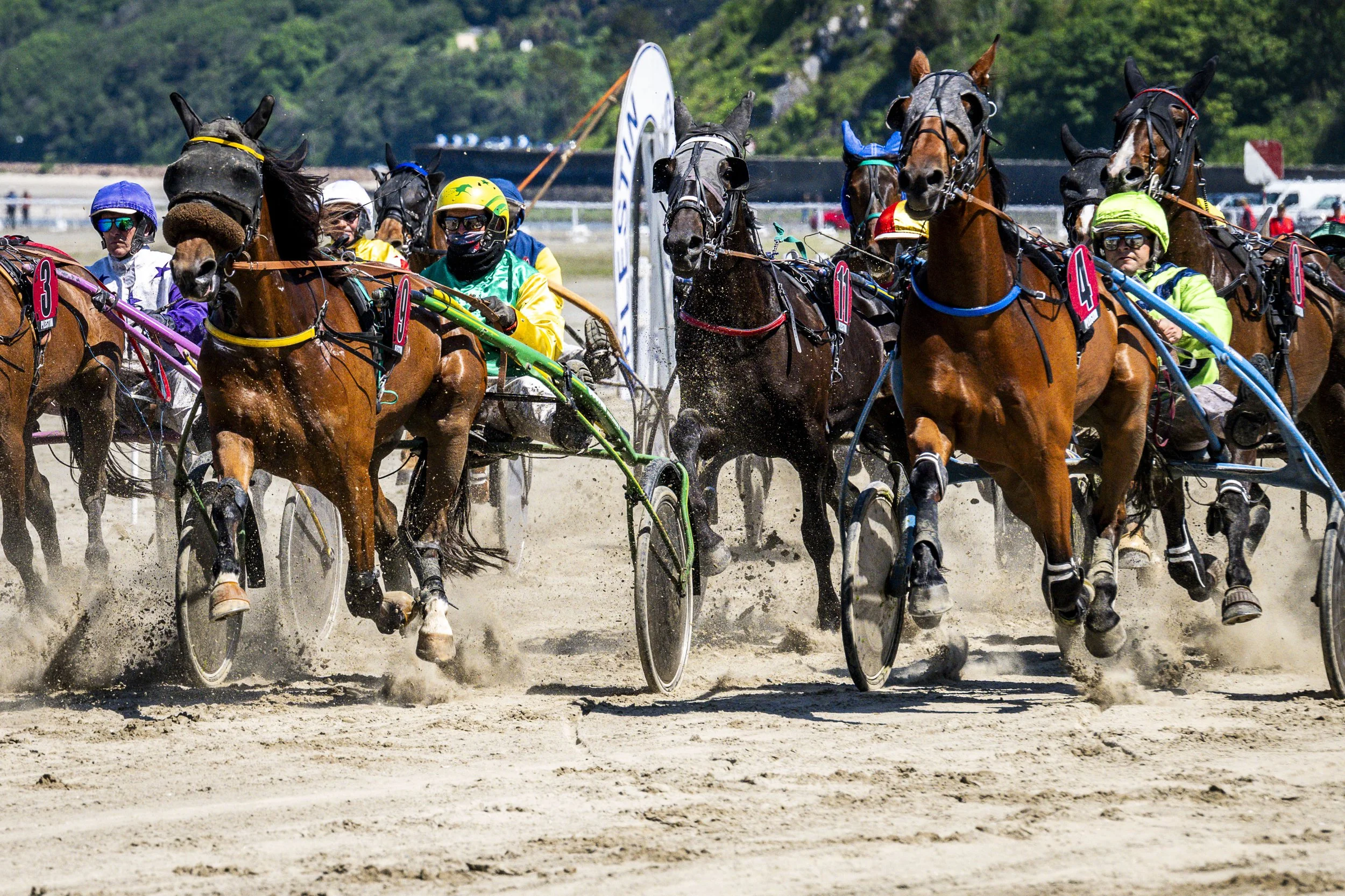 Courses hippiques Saint-Efflam. Hippodrome marin Plestin-les-Grèves. Côtes d'Armor.