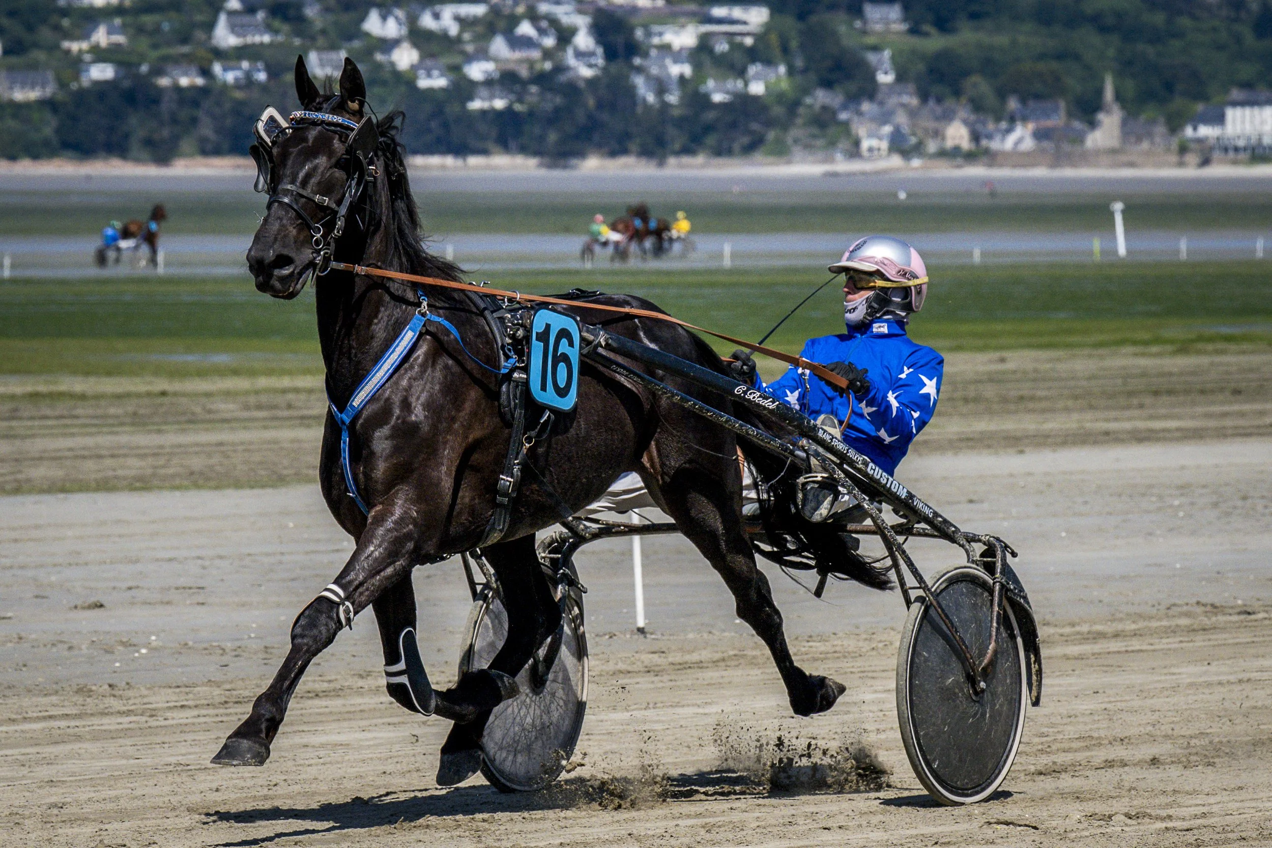 Courses hippiques Saint-Efflam. Hippodrome marin Plestin-les-Grèves. Côtes d'Armor.