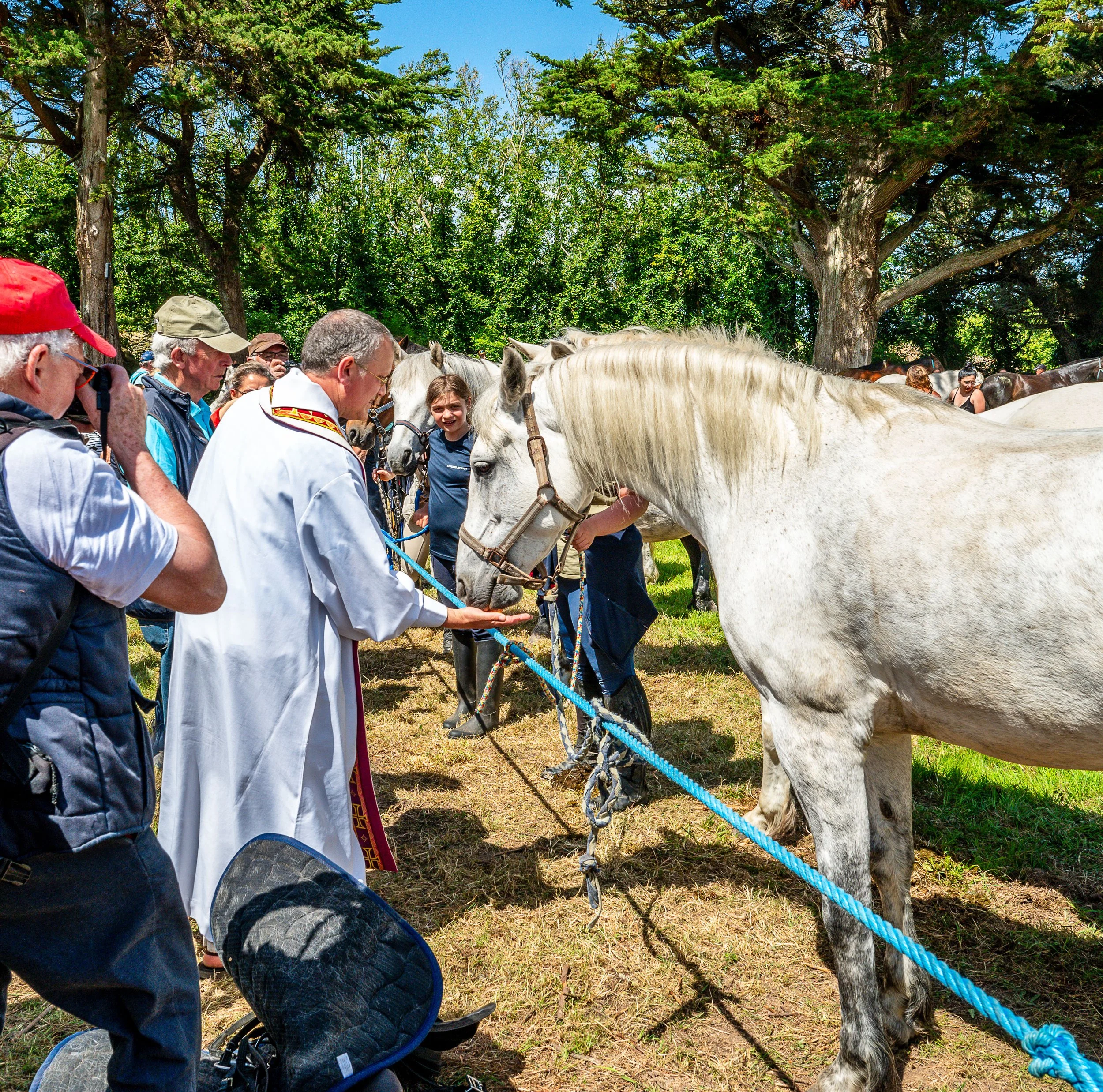 Pardon aux chevaux de l'île Saint-Gildas à Penvenan. Côtes d'Armor.