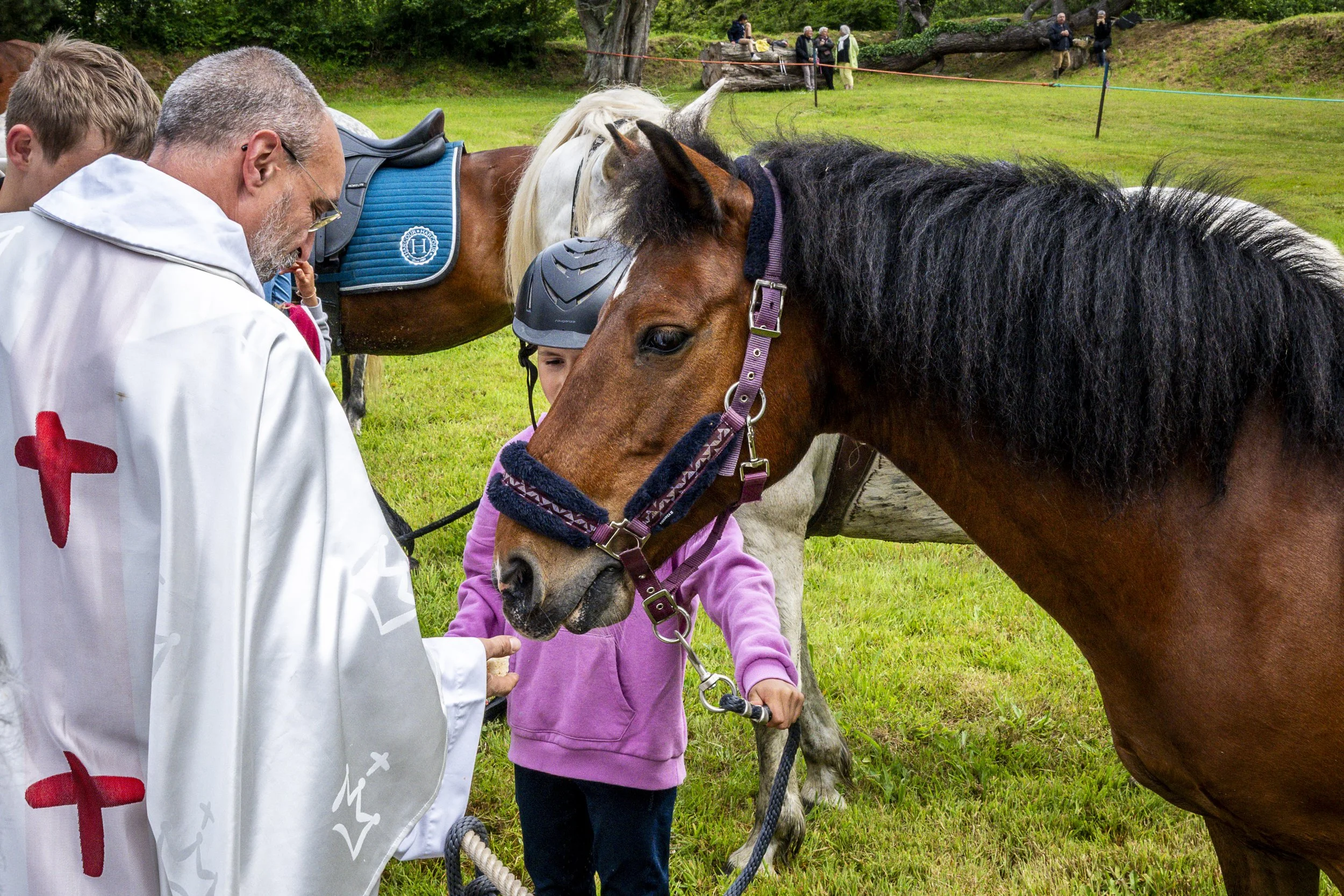 Pardon aux chevaux de l'île Saint-Gildas à Penvenan. Côtes d'Armor.