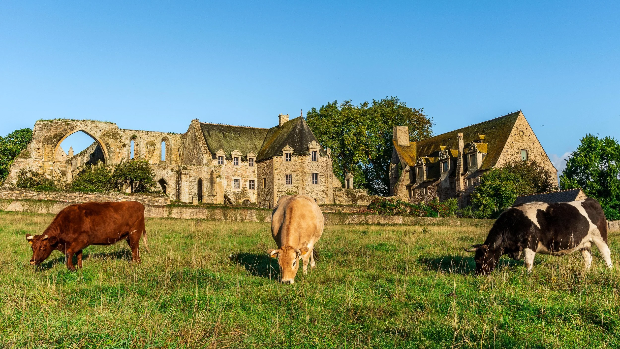 L'abbaye de Beauport à Paimpol. Côtes d'Armor.