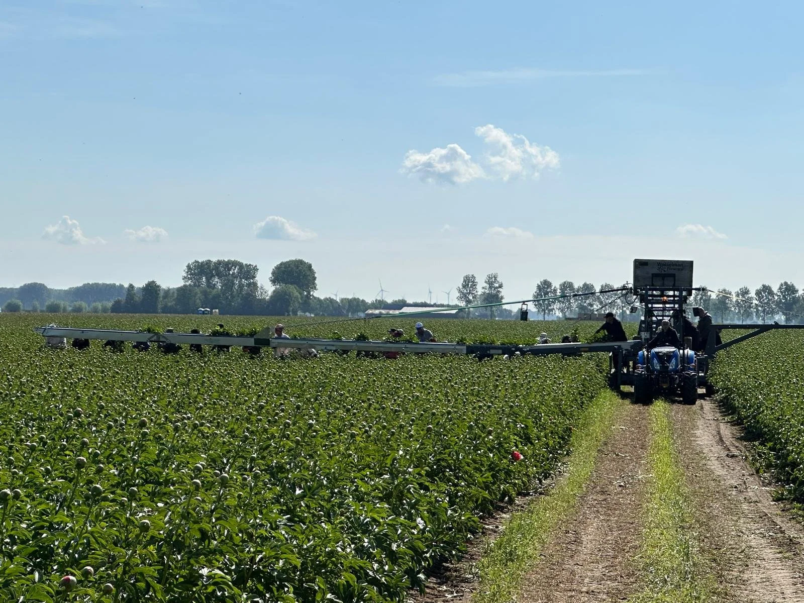 Flexibele krachten voor              ieder seizoen!