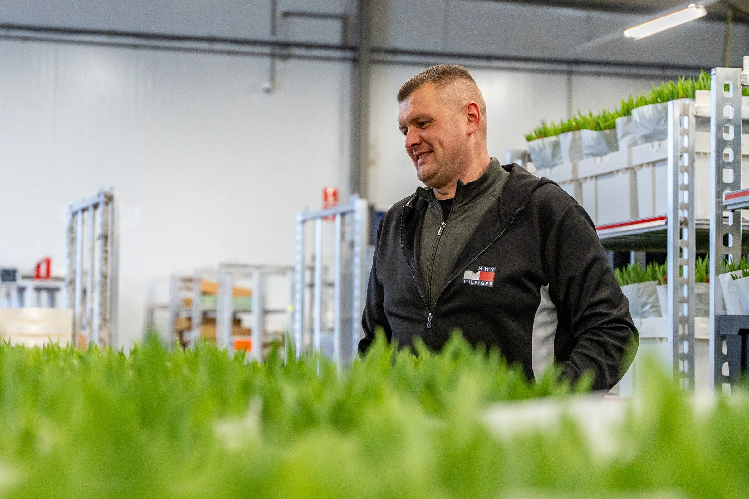 A man in a black Tommy Hilfiger jacket examining green plants in a greenhouse or plant nursery.