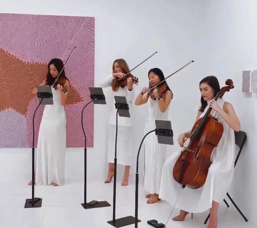 String Quartet (acoustic)