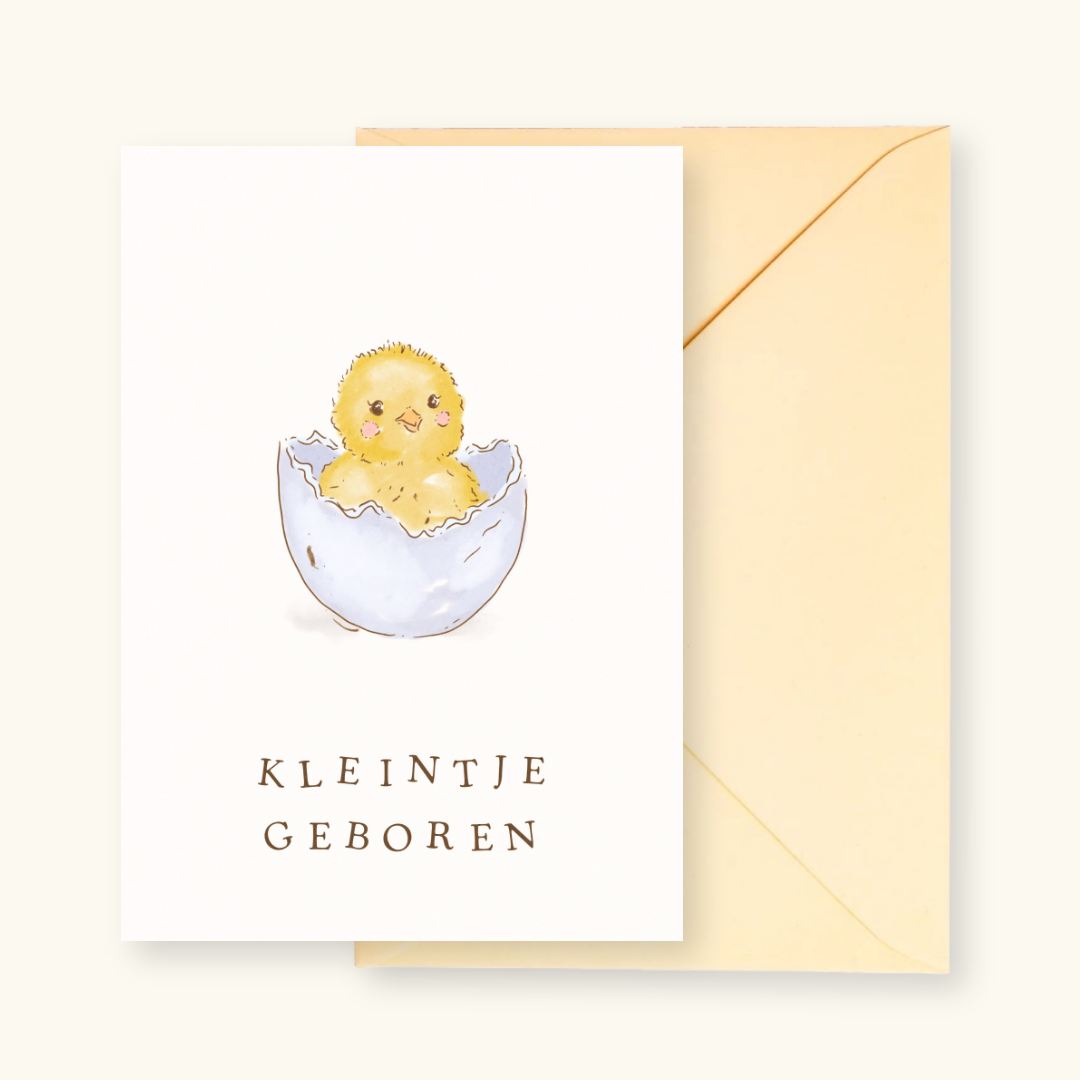 Wenskaart met envelop Kleintje Geboren