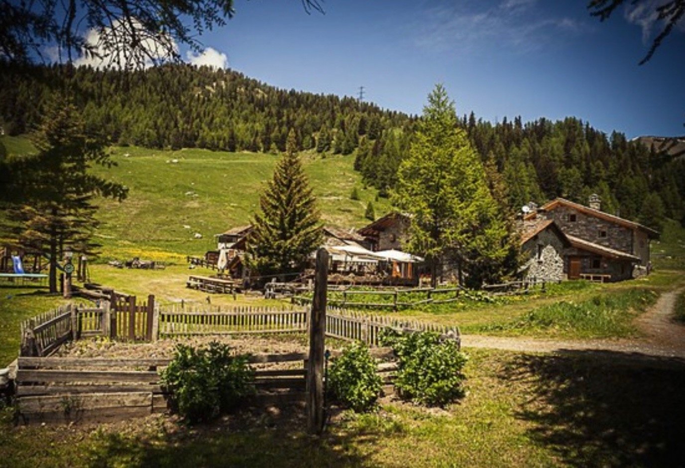 Image 3-3-26 at 5.44 PM.jpeg