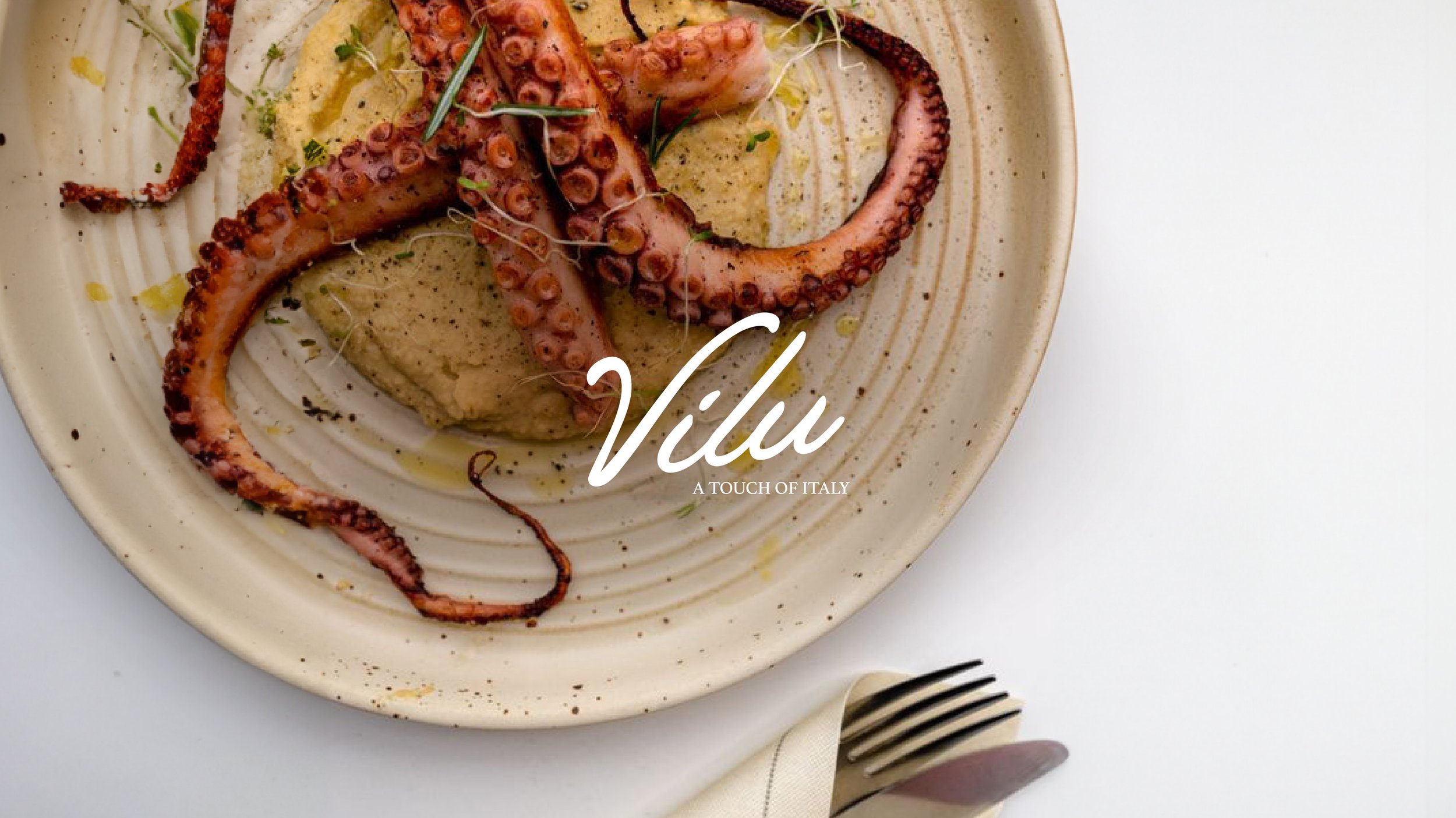 VILU_Web Page_v1.jpg