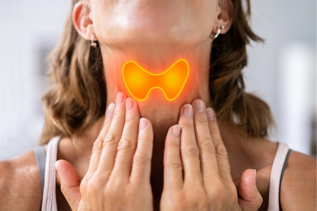 Tiroides, ciclo menstrual y metabolismo: por qué todo está conectado