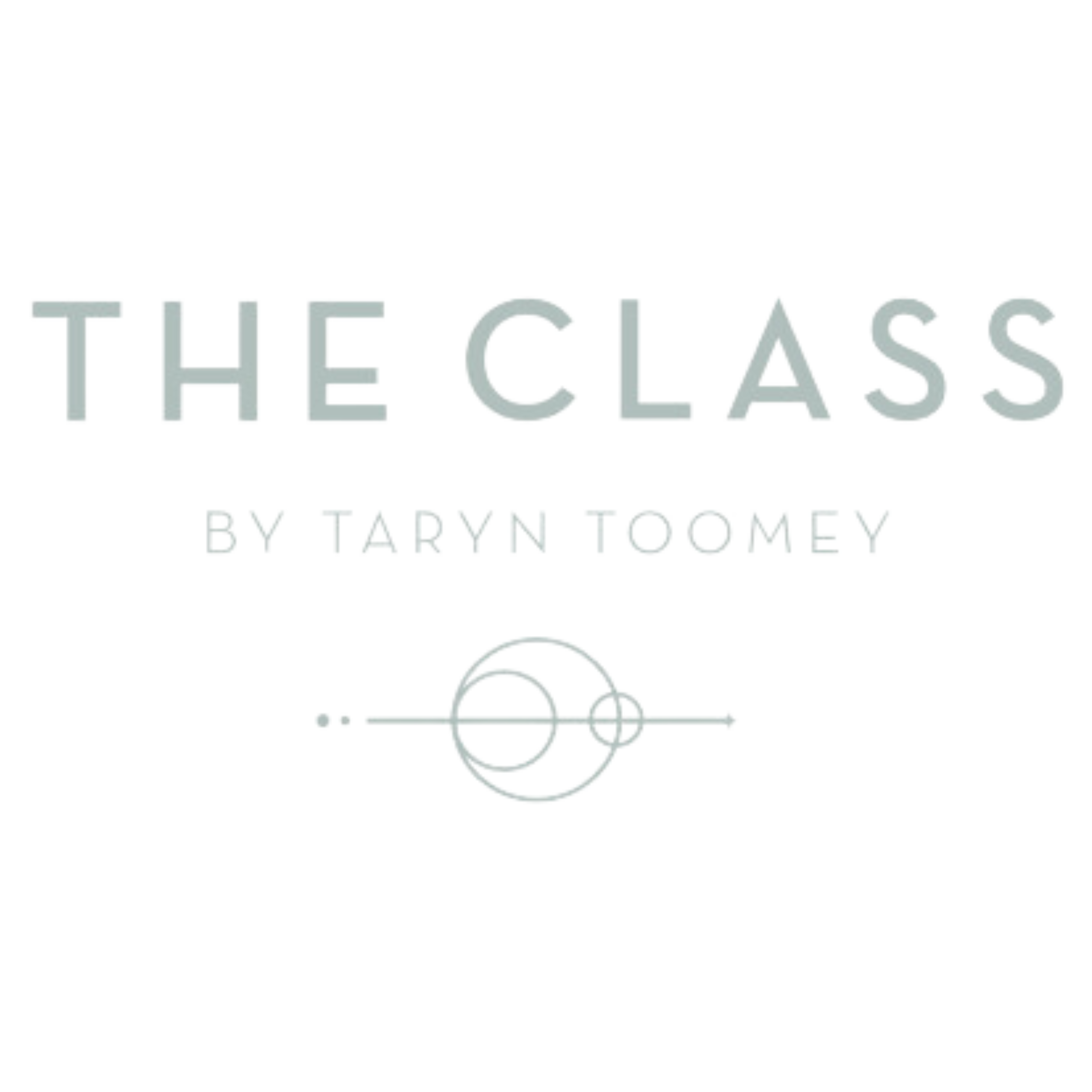 Book cover titled 'The Class' by Tarvn Toomey, featuring a scientific diagram of atomic or orbital structures.
