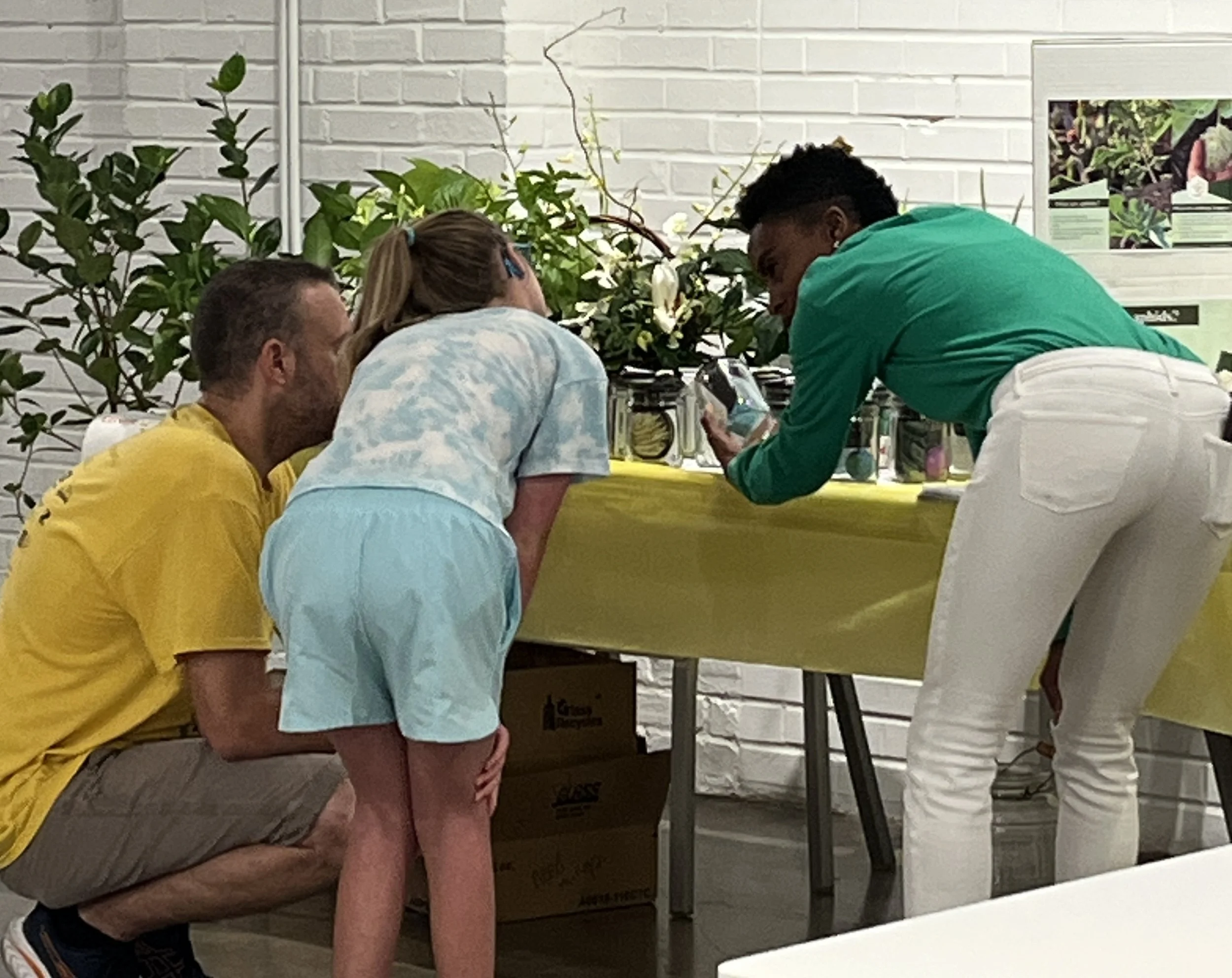 Central Baptist Church Green Team