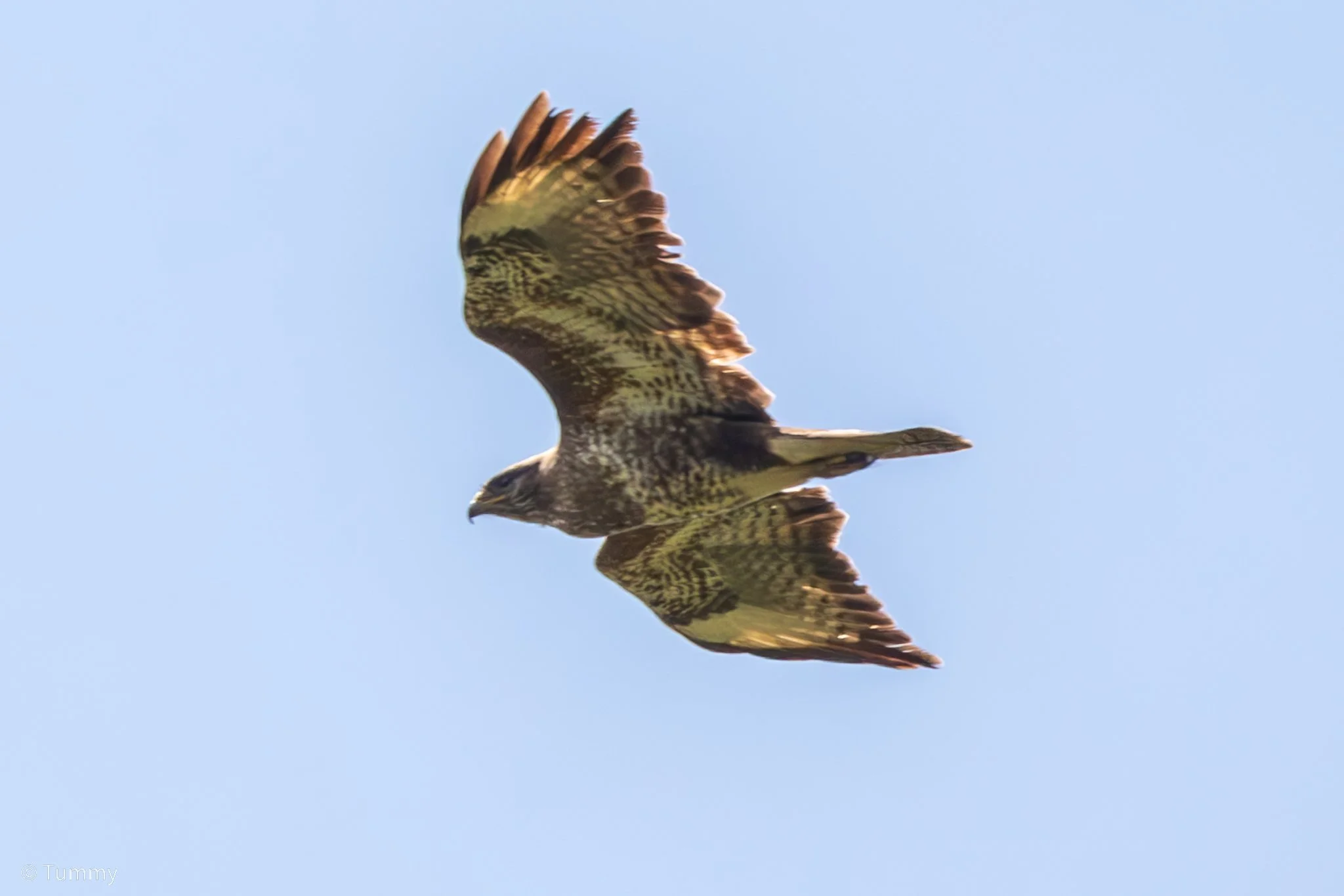 B30A7542-Enhanced-NR.jpg
