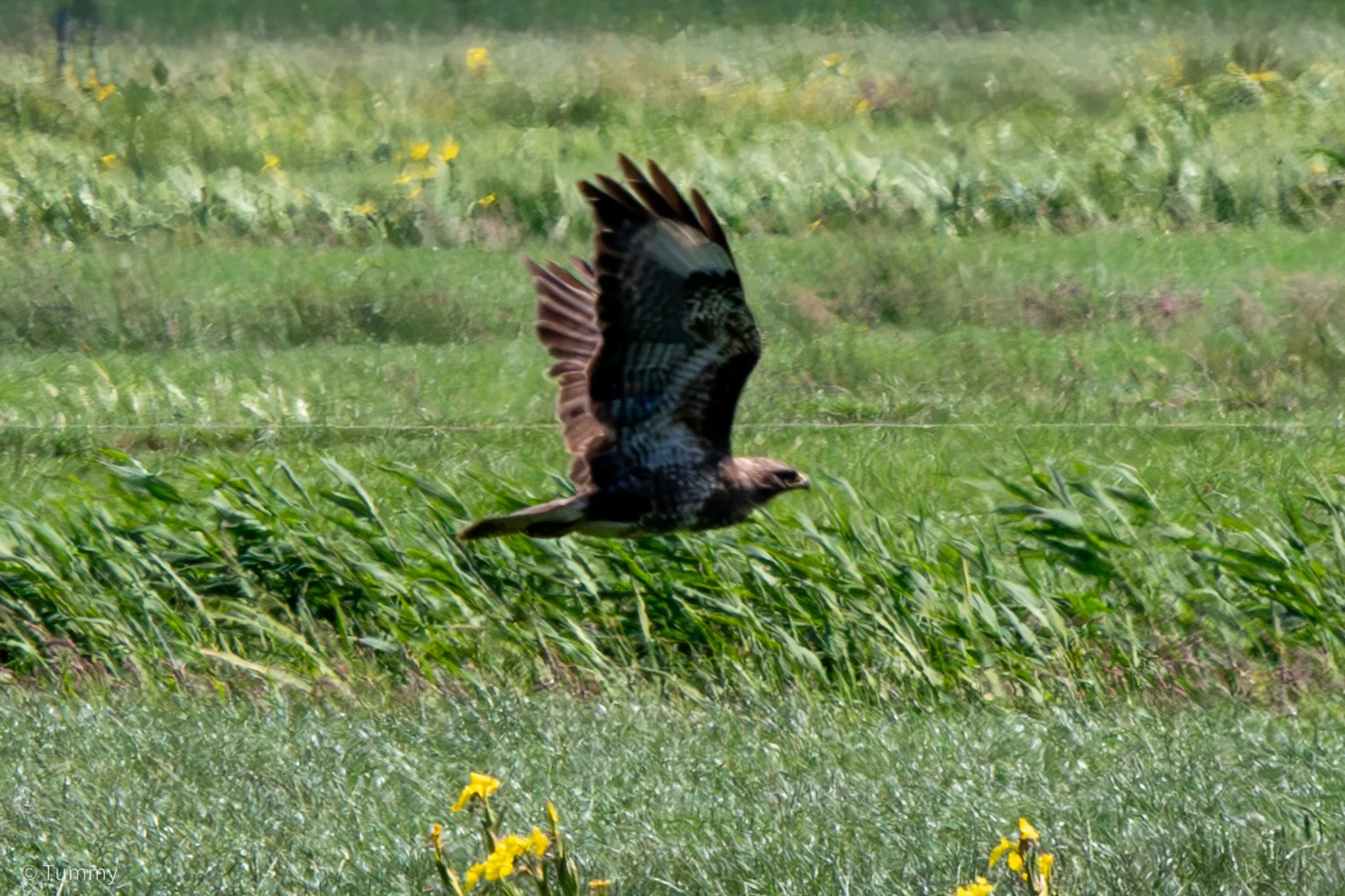 B30A7611-Enhanced-NR.jpg