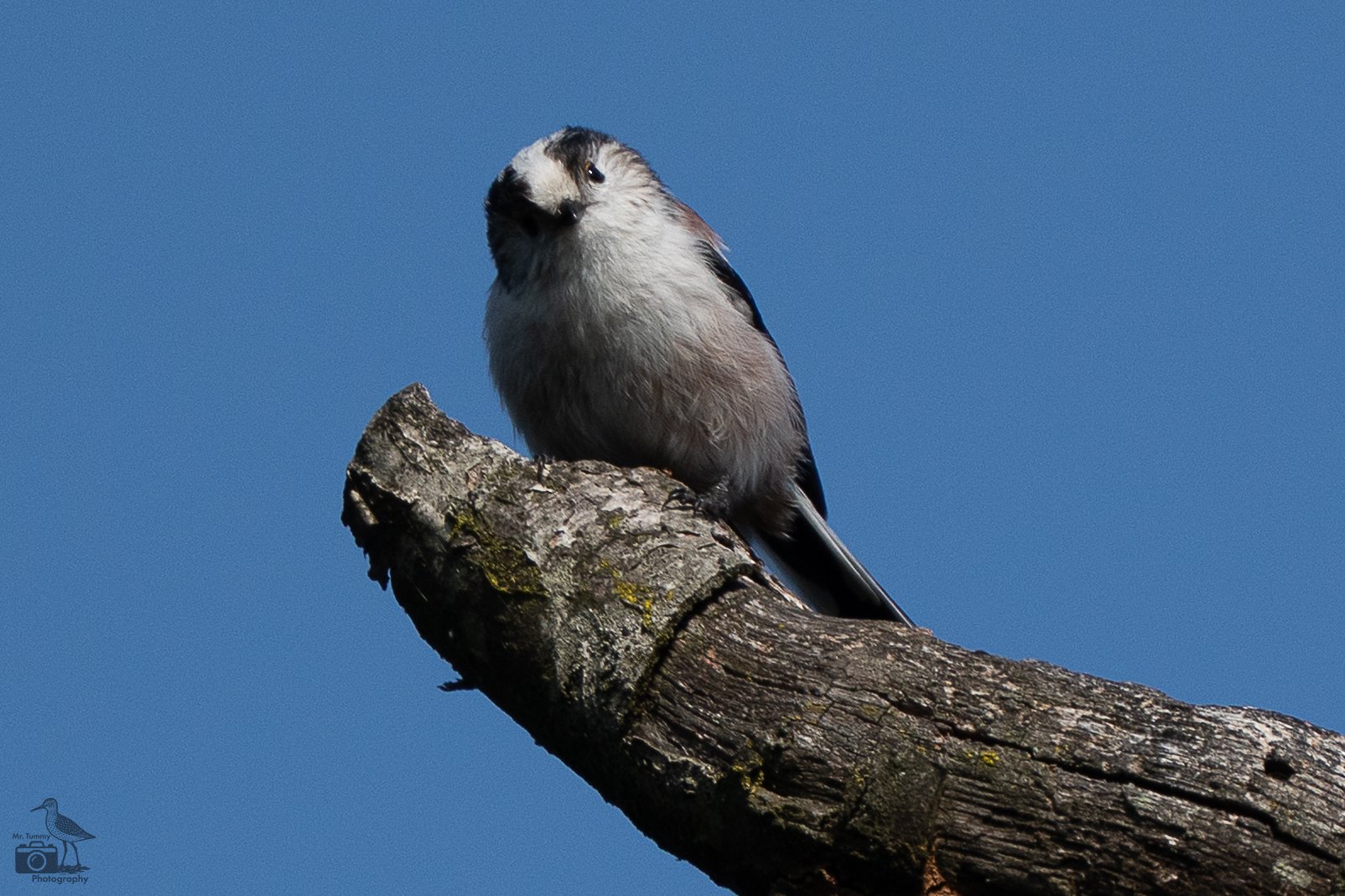 Wierdense veld 30-9-2025