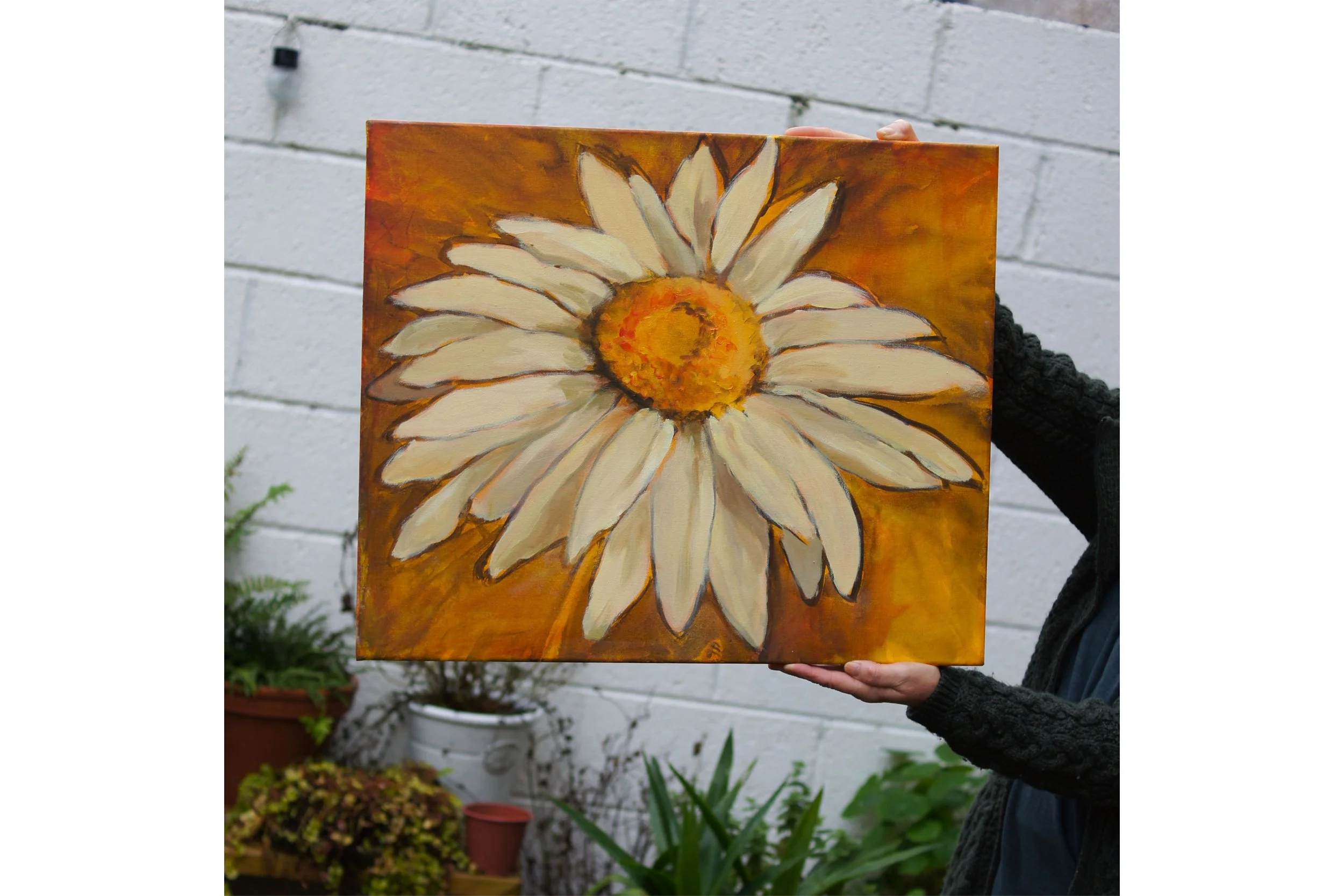 Daisy