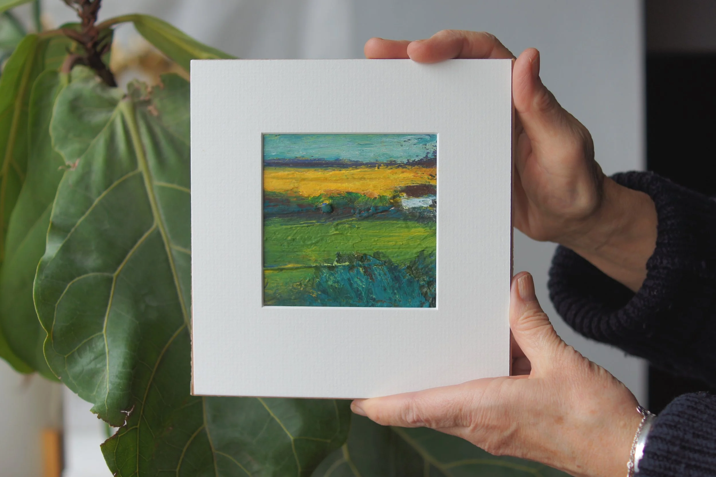 Yellow Field Fahalea