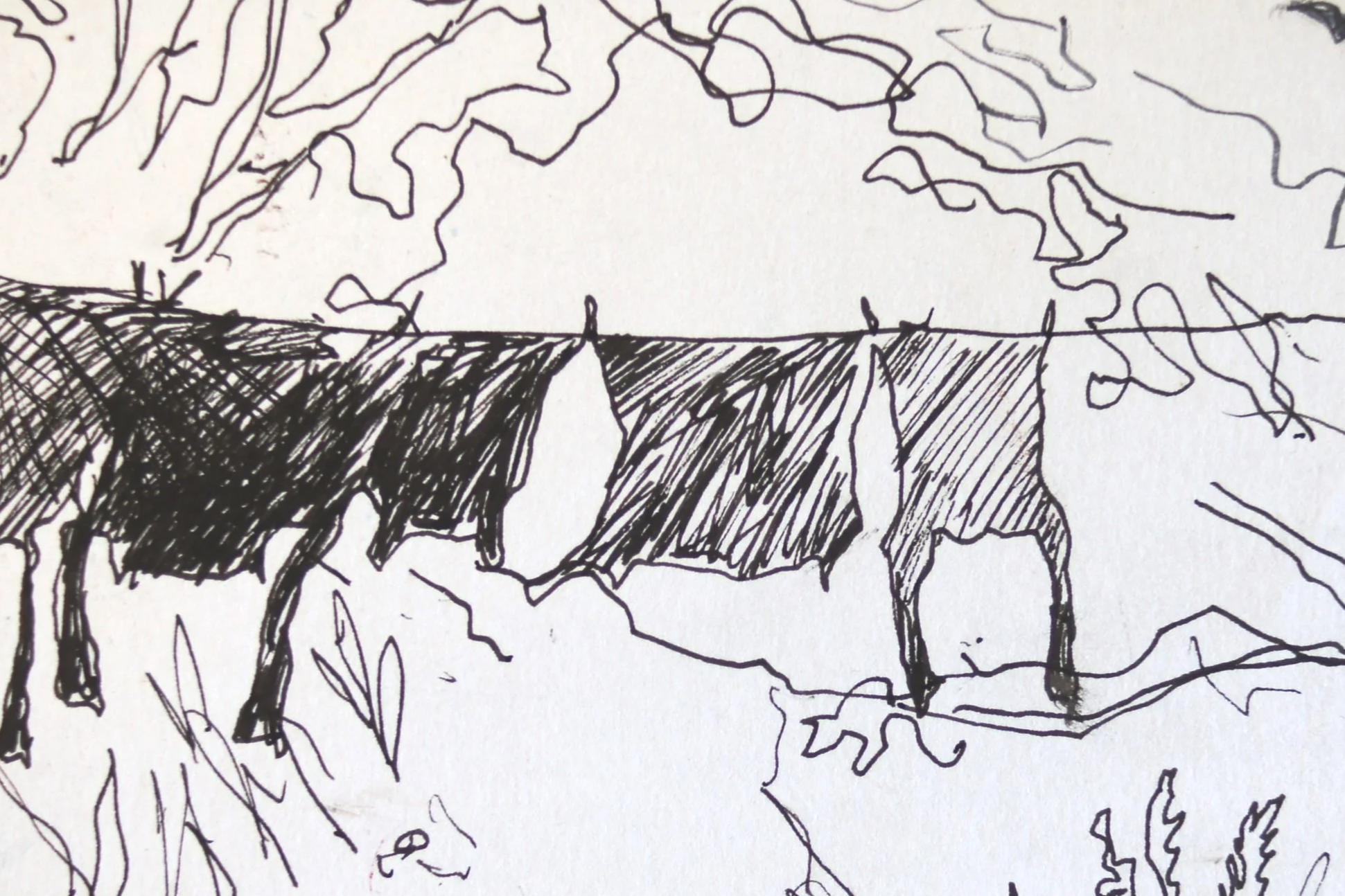 DSC02493.png