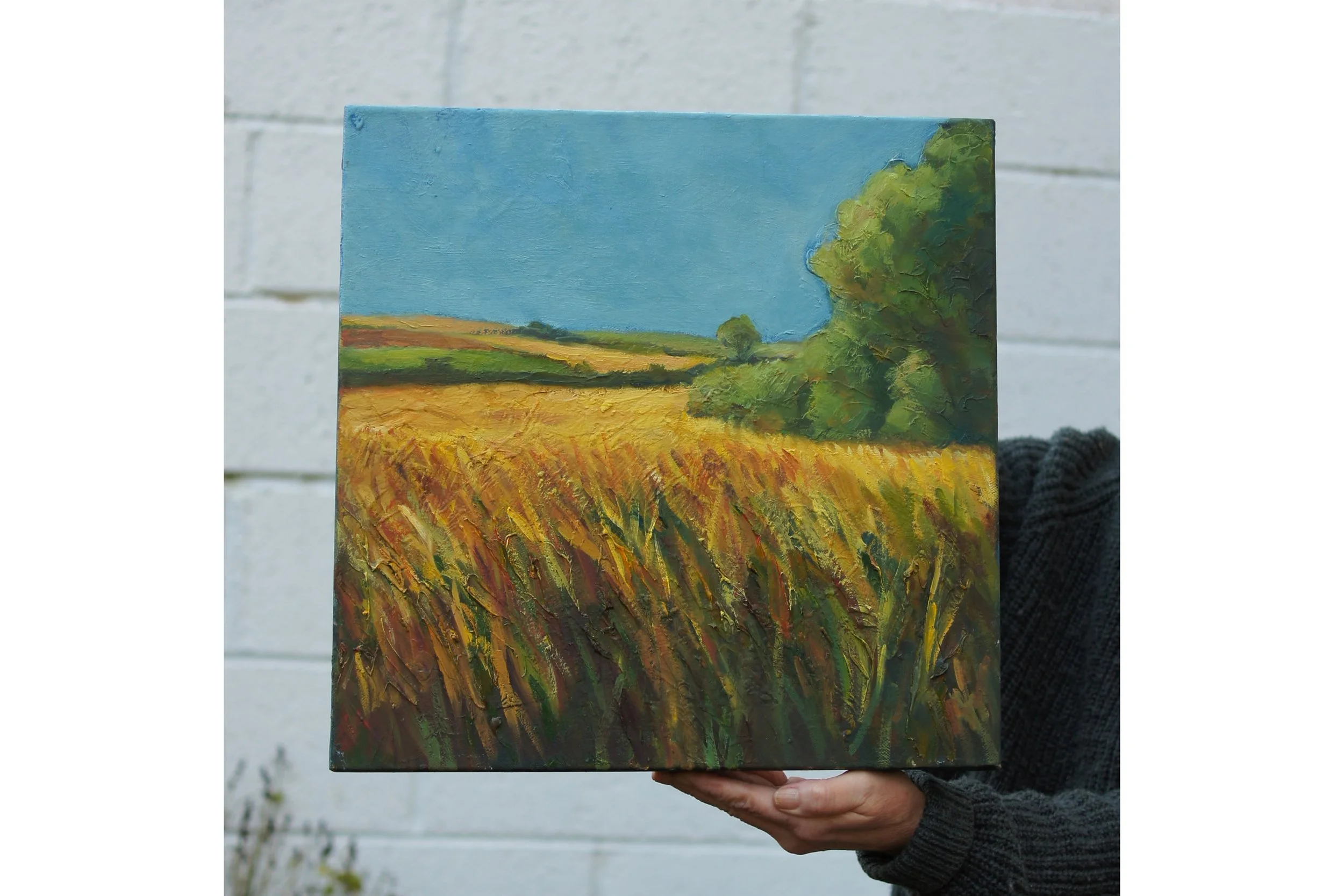 Harvest near Kinsale