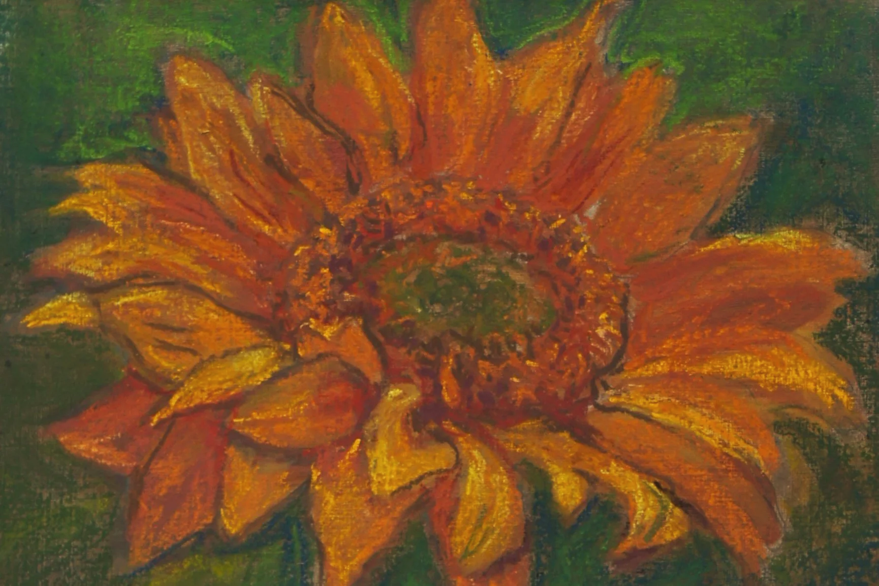 DSC02897c.png