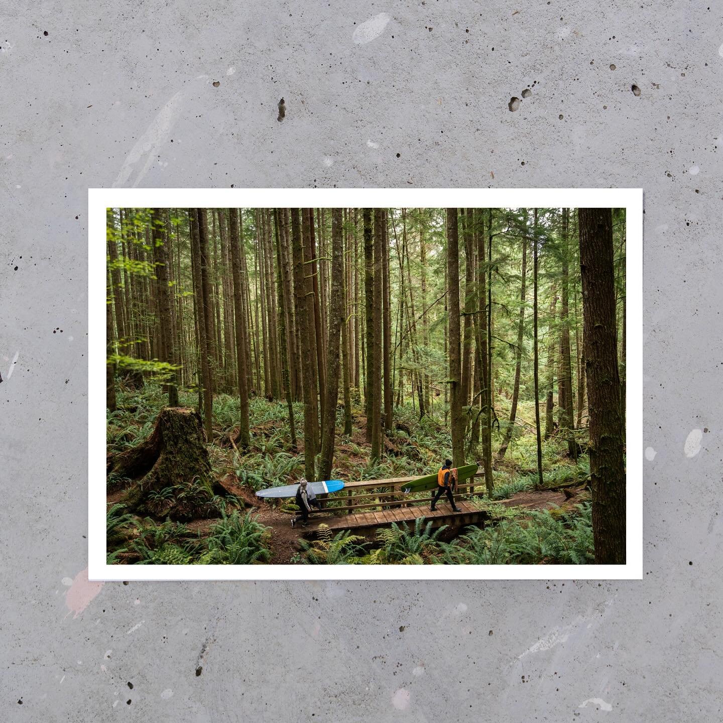 Winding through the mossy trails of Jordan River, Vancouver Island. Perfect postcard to send to that friend who loves a surfing adventure. 
#posted