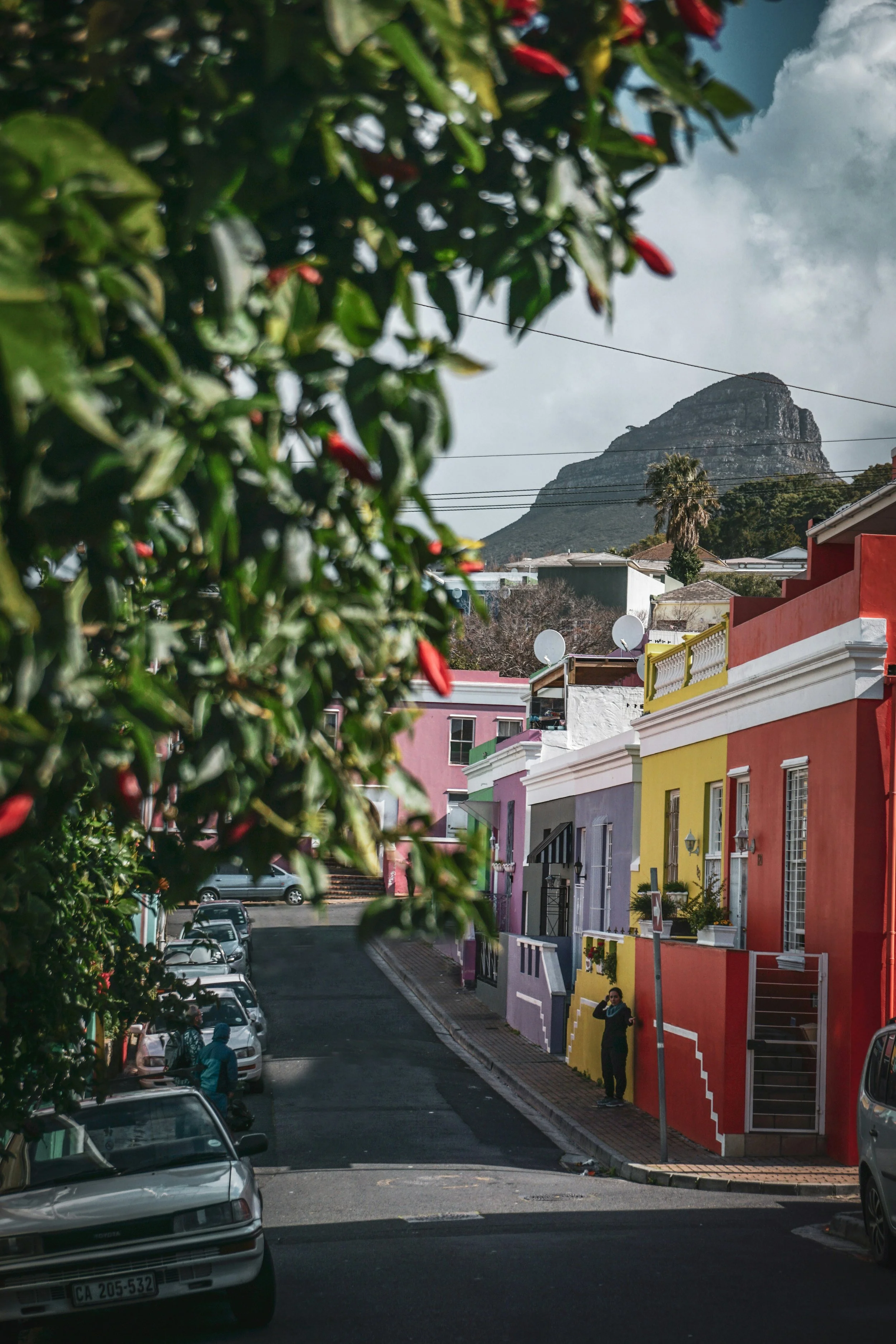 Colorful houses along a street with a mountain in the background, partly obscured by a leafy tree with red flowers.