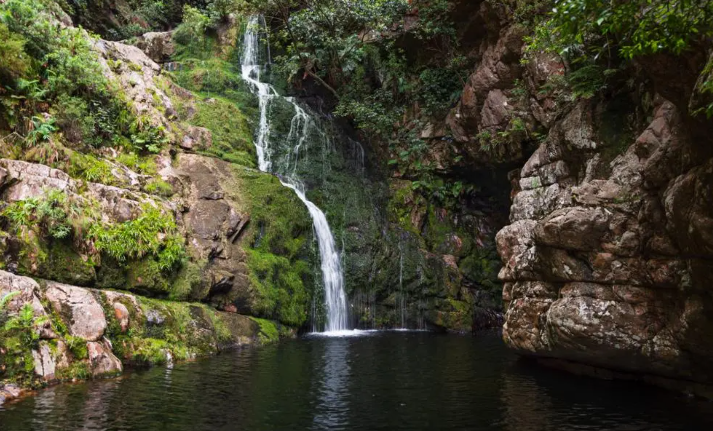 Small waterfall flowing down rocky, mossy cliffs into a dark pool surrounded by lush green vegetation.