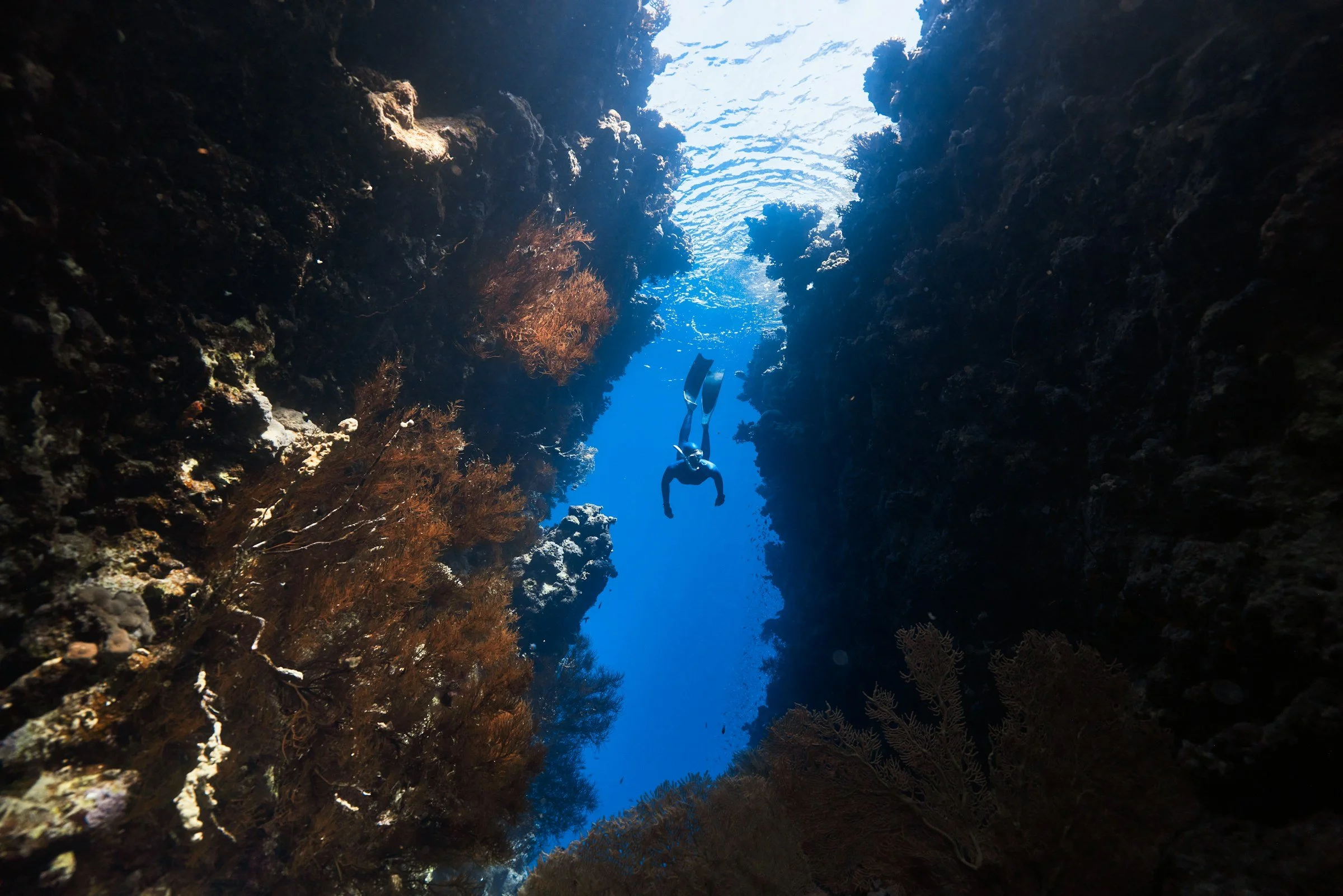 A scuba diver swimming through a deep, narrow underwater canyon with coral on the sides and sunlight filtering from above.