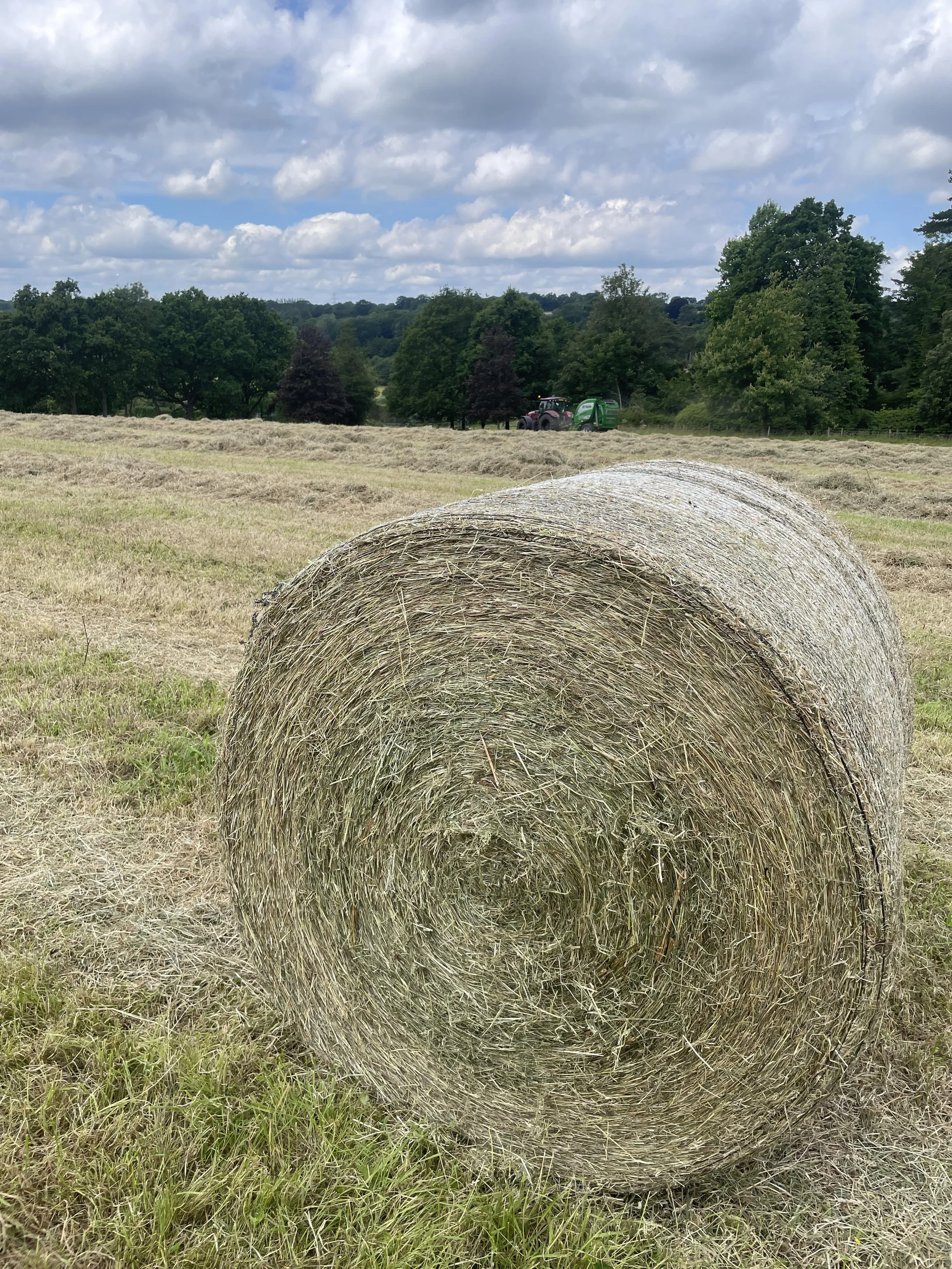 HayBale.JPG