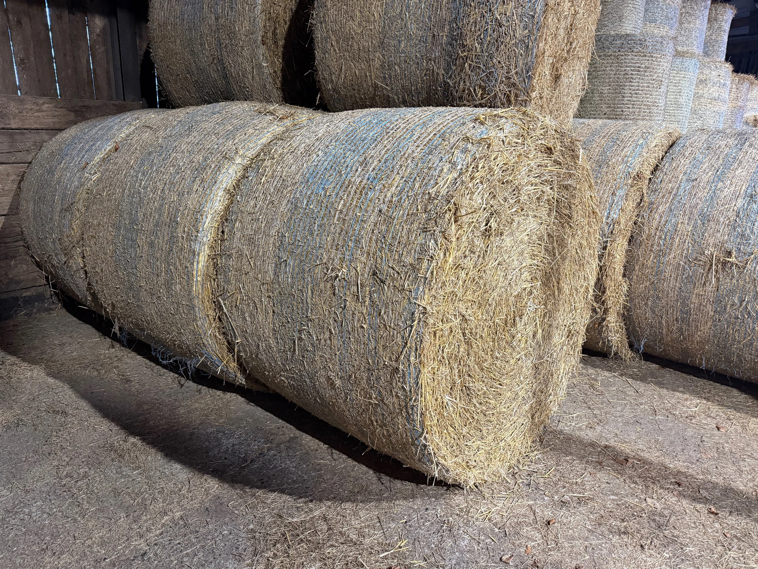 5ft Straw Bale