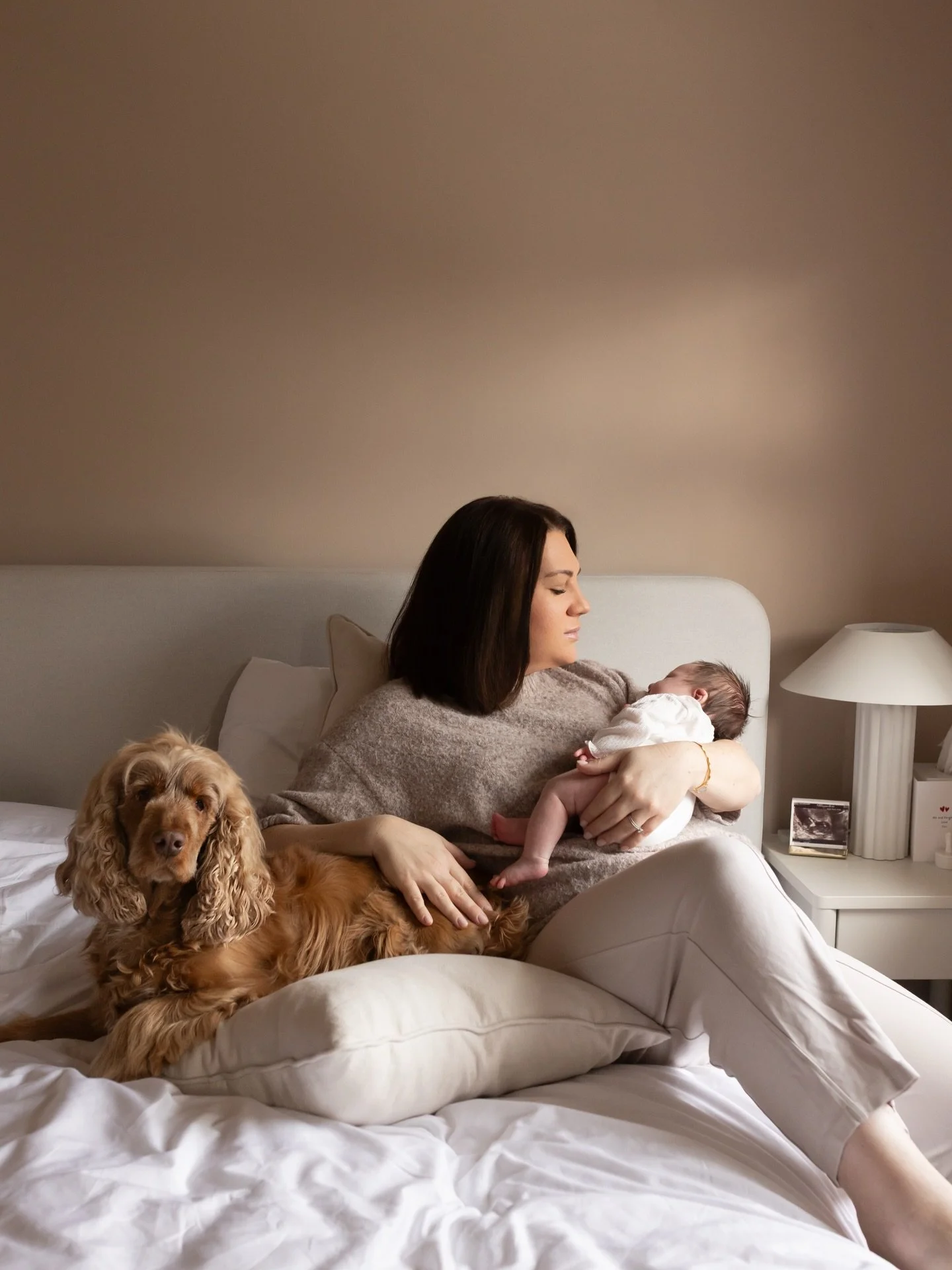 January&hellip;. you were a lot! 

We started the month with my husband being rushed into hospital for emergency surgery, followed by two weeks of twice-daily visits. Thankfully he&rsquo;s home now and slowly recovering. Between playing nurse, doing 