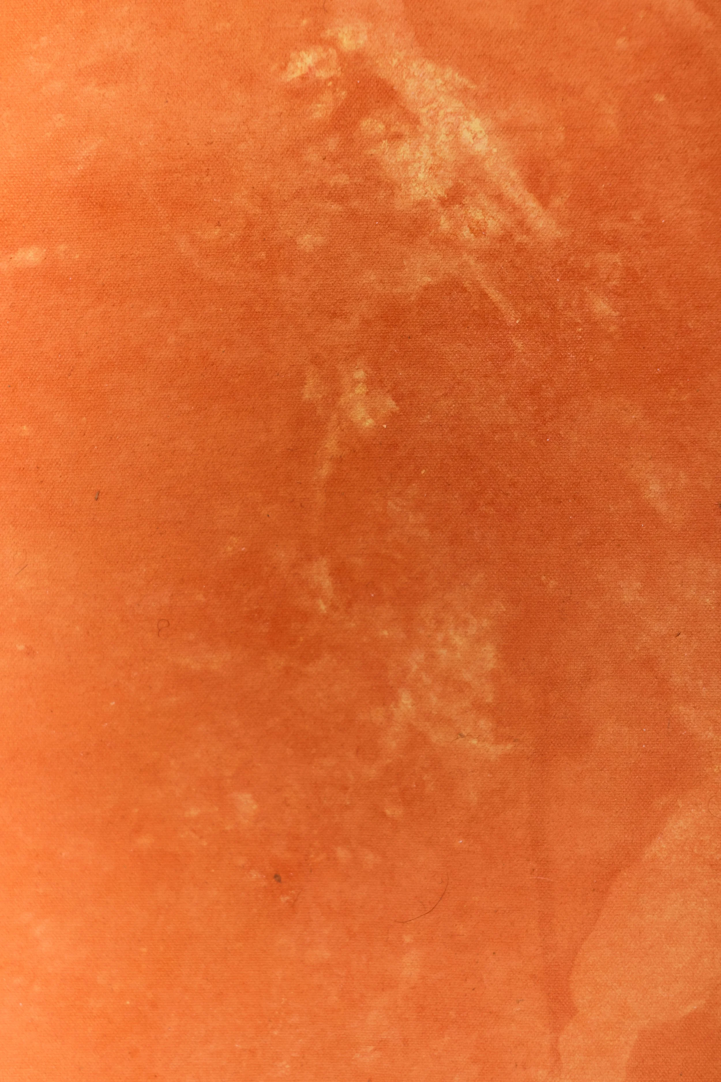 Backdrop 202688716.jpg