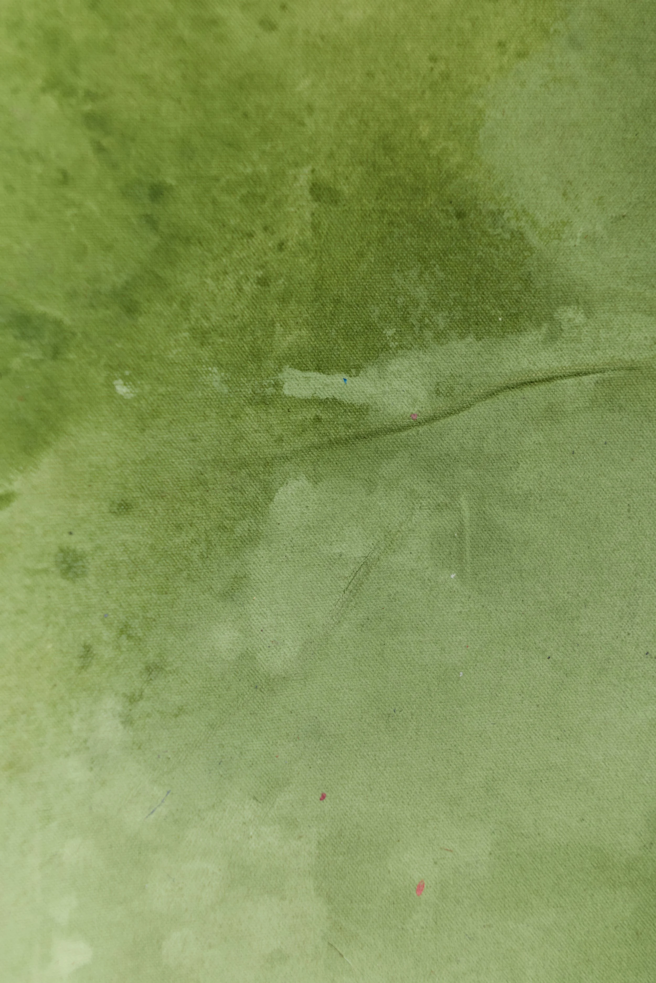 Backdrop 202687718.jpg