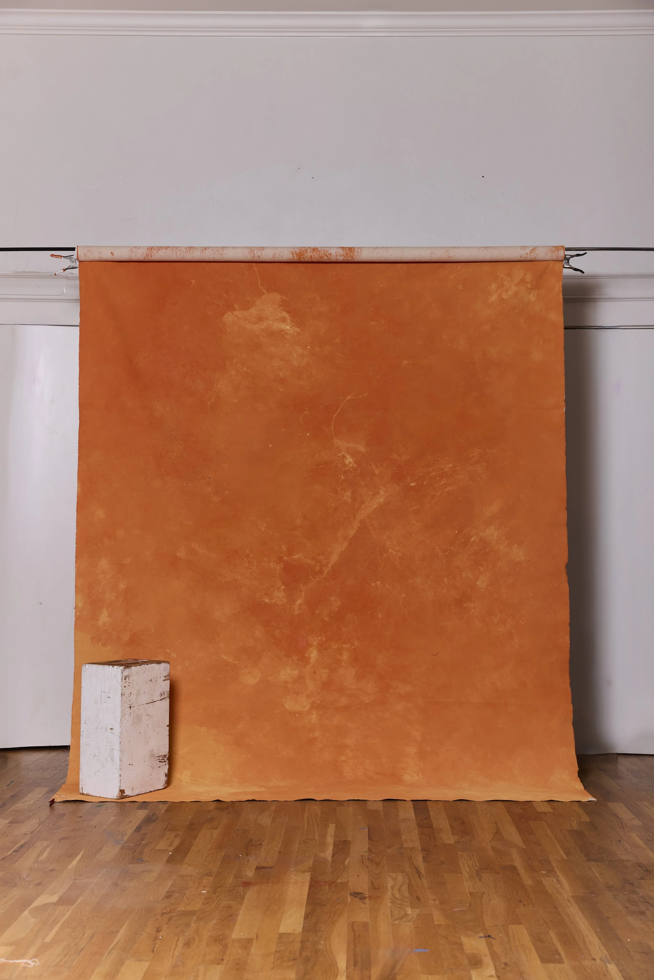 Backdrop 202688730 copy.jpg