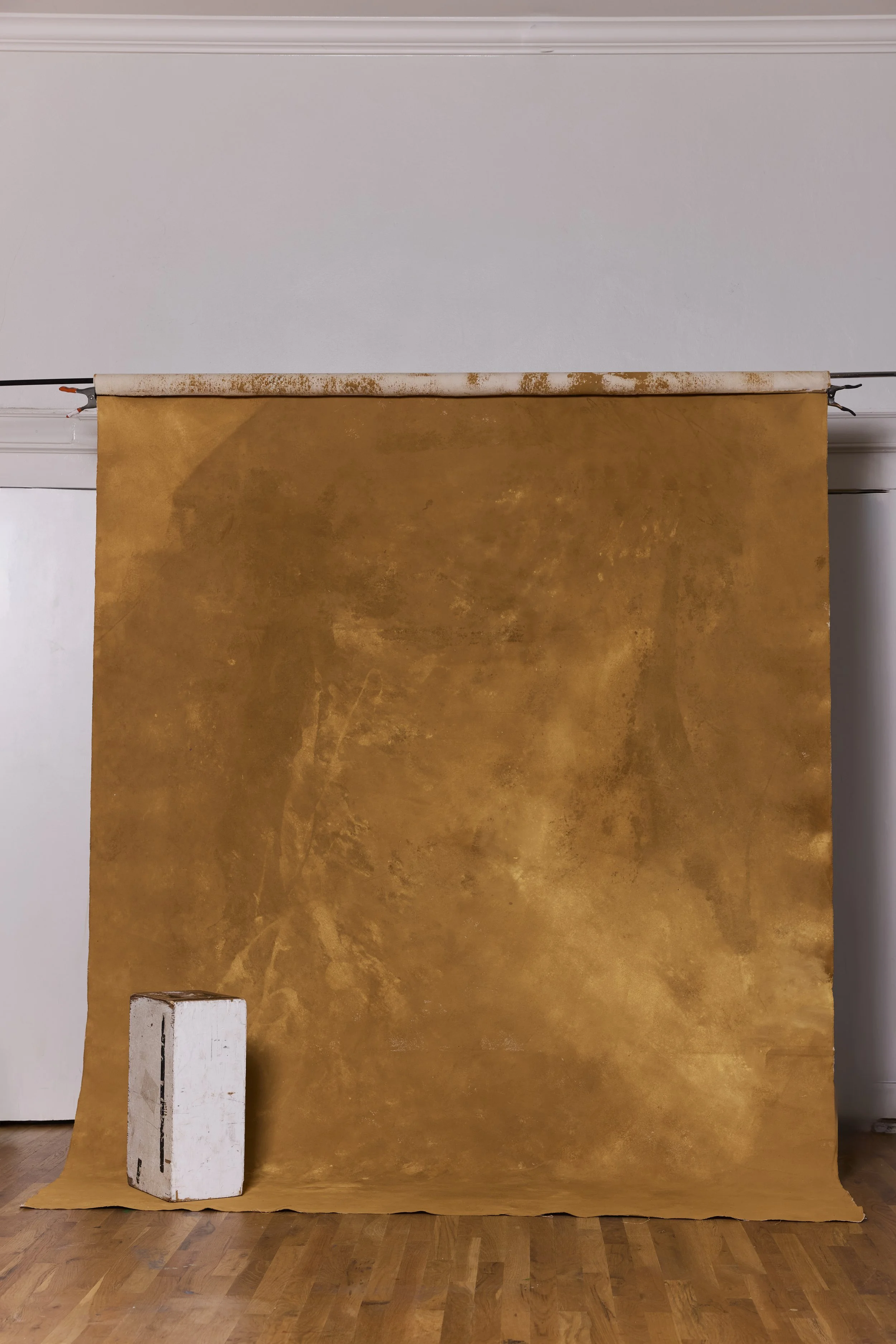 Backdrop 202688740 copy.jpg